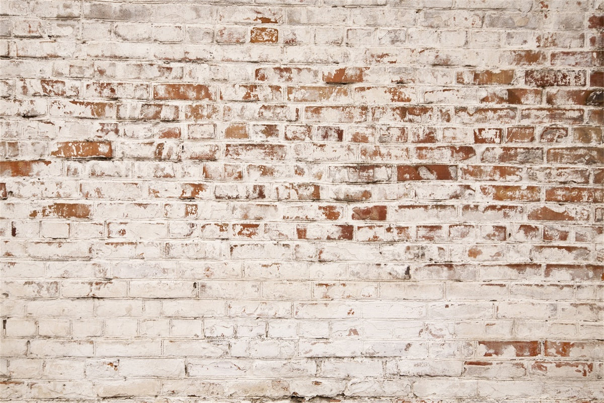 Brick Backdrop Photography Rustic Aged White Brick Backdrop UK CJJ3-18
