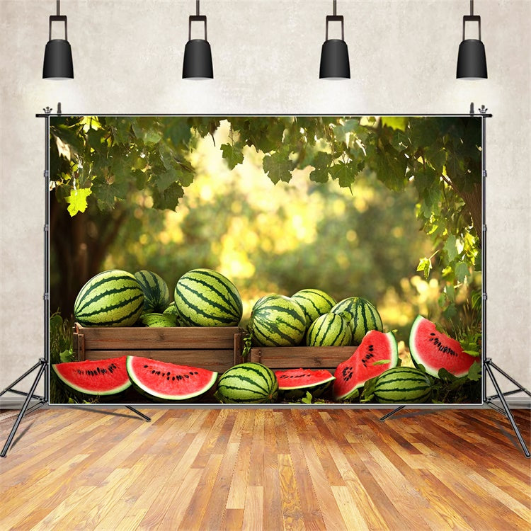 Watermelon Photo Backdrop Sunshine Forest Watermelon Summer Backdrop UK CJJ3-257