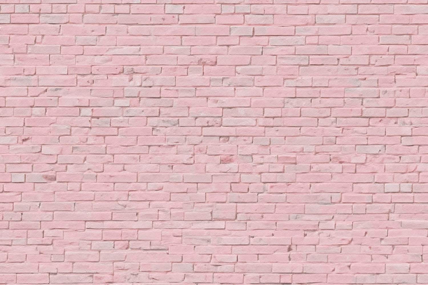 Pink Brick Wall Backdrop Pink Minimalist Brick Backdrop UK CJJ3-26