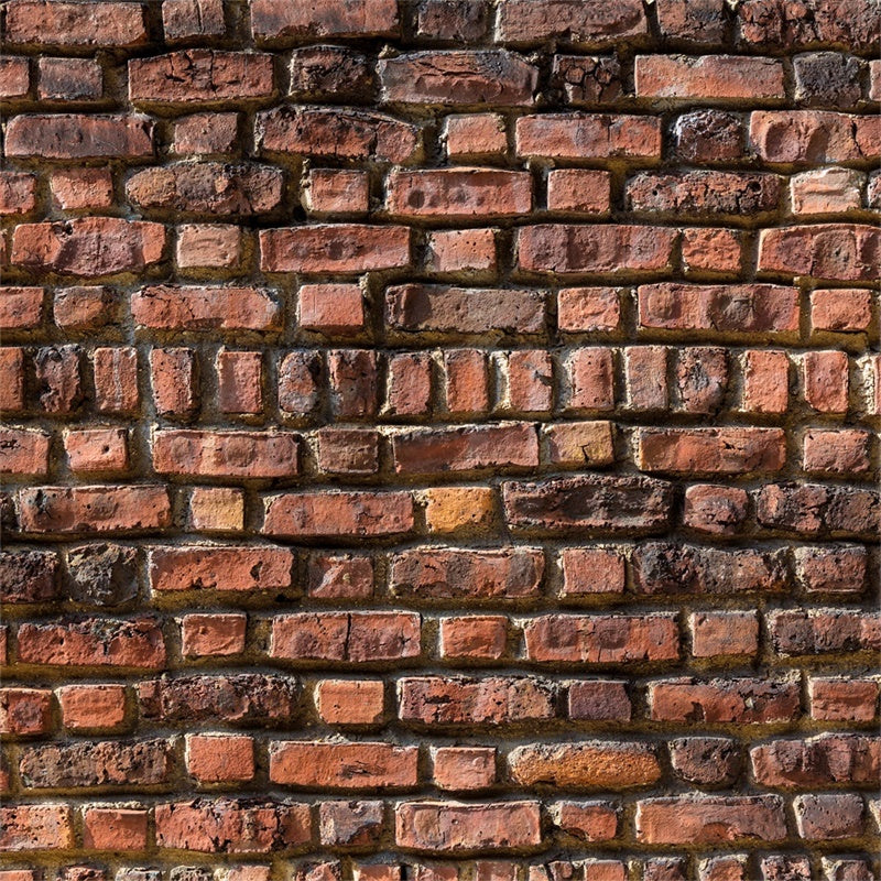 Brick Wall Backdrop Photography Heritage Red Brick Backdrop UK CJJ3-3