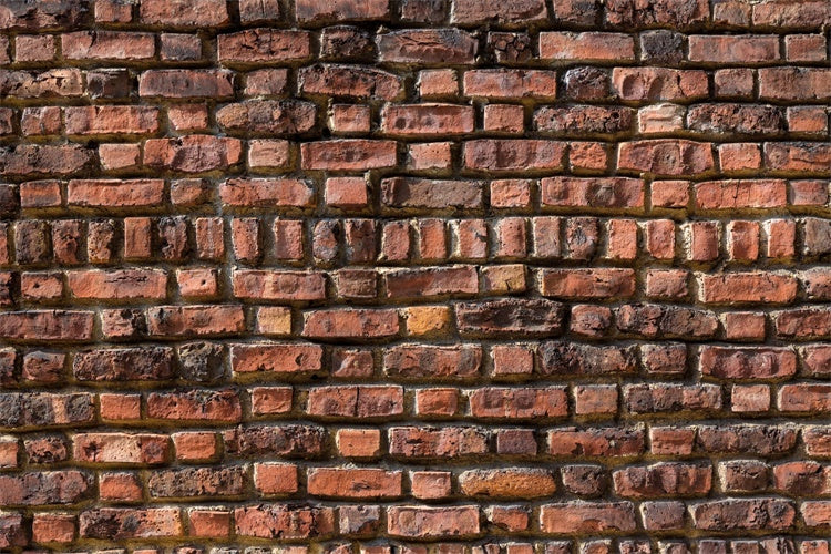 Brick Wall Backdrop Photography Heritage Red Brick Backdrop UK CJJ3-3