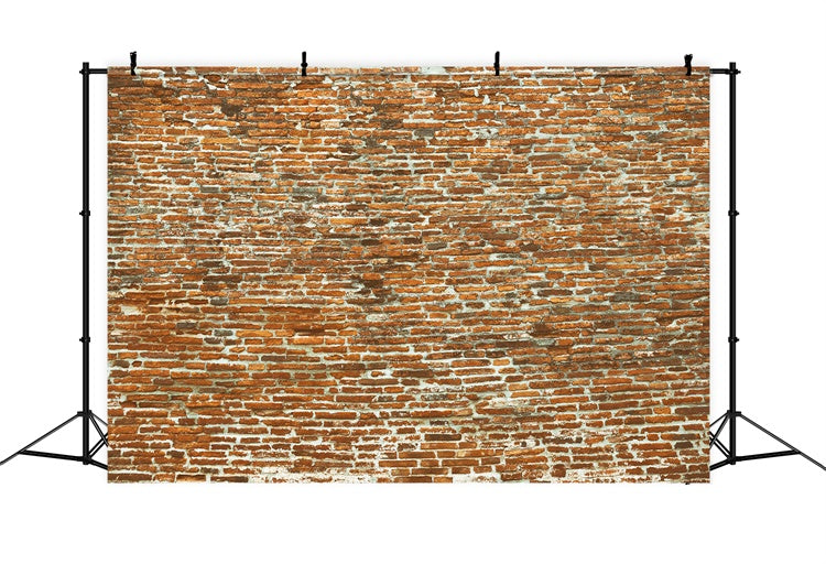 Brick Wall Photo Backdrop Old Curved Brick Surface Backdrop UK CJJ3-30