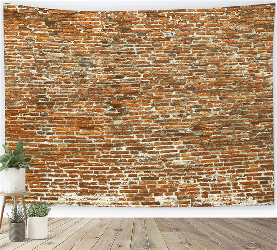 Brick Wall Photo Backdrop Old Curved Brick Surface Backdrop UK CJJ3-30