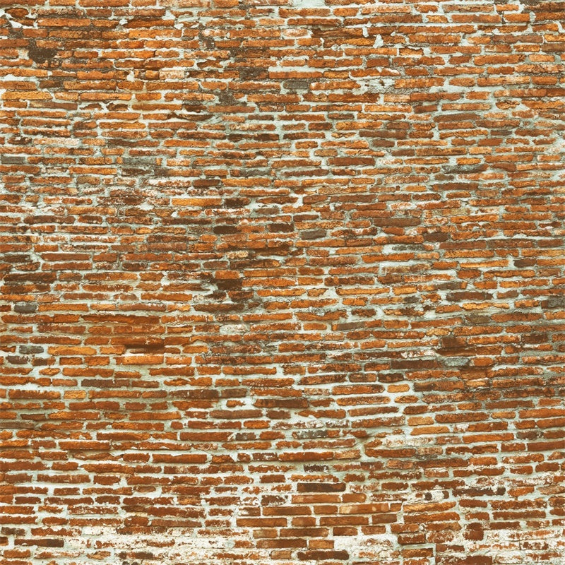Brick Wall Photo Backdrop Old Curved Brick Surface Backdrop UK CJJ3-30