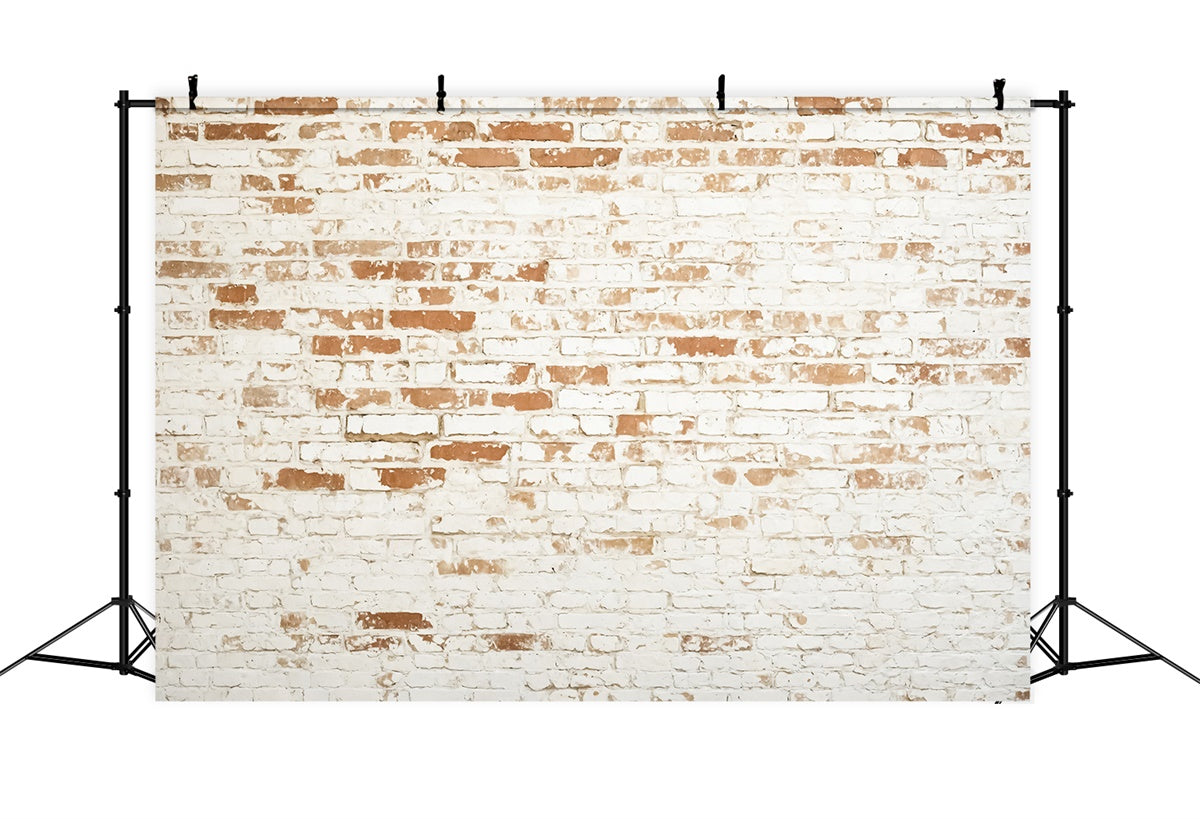 Brick Photo Backdrop Weathered White Brick Texture Backdrop UK CJJ3-37