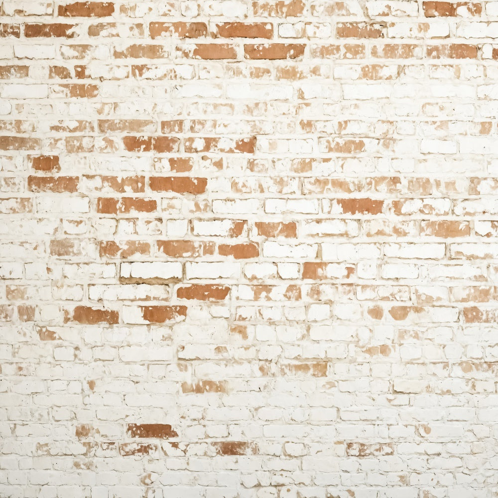 Brick Photo Backdrop Weathered White Brick Texture Backdrop UK CJJ3-37