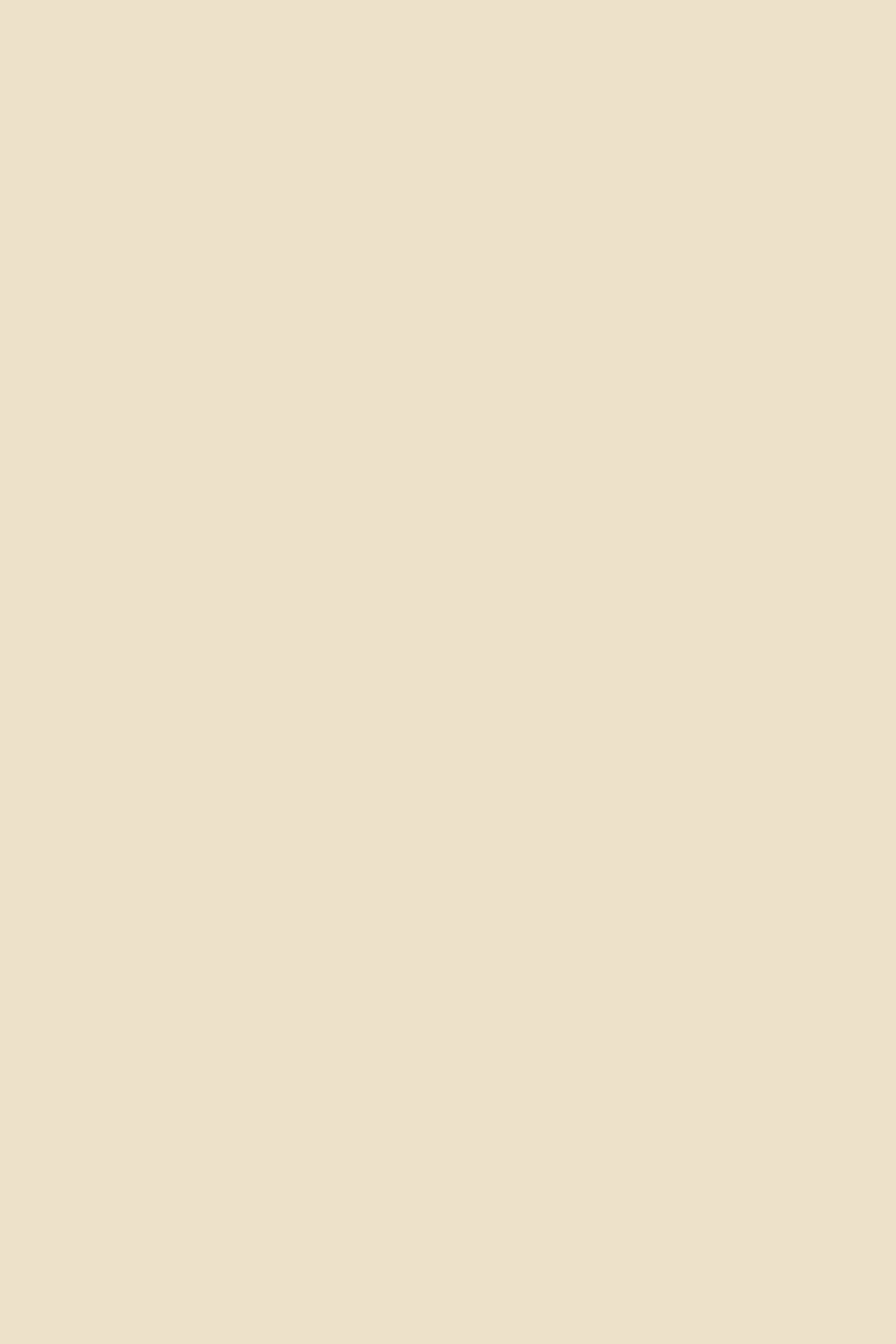 Solid Color Backdrops Soft Creamy Beige Backdrop UK CSH4-154