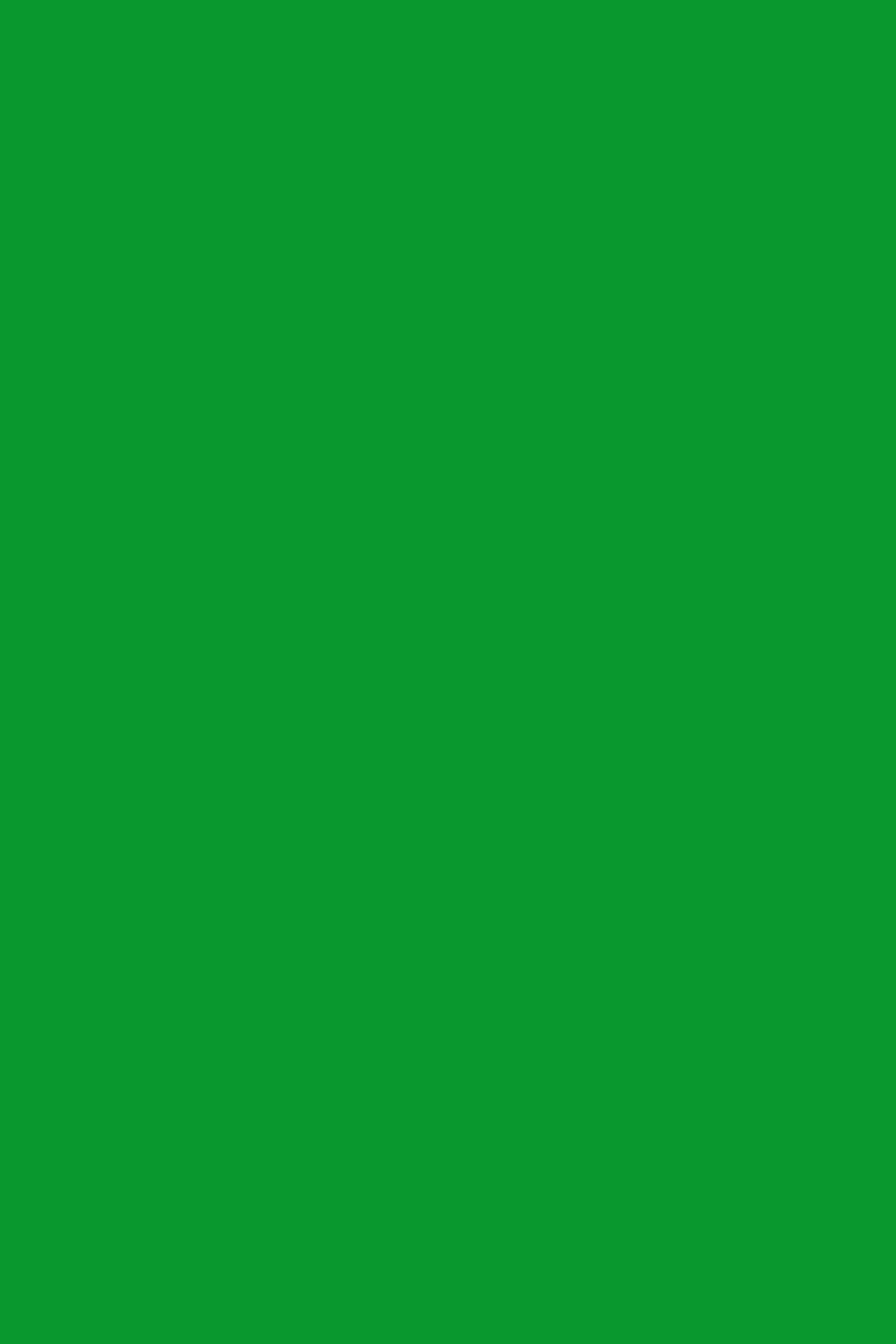 Green Photo Backdrop Bright Meadow Green Backdrop UK CSH4-156
