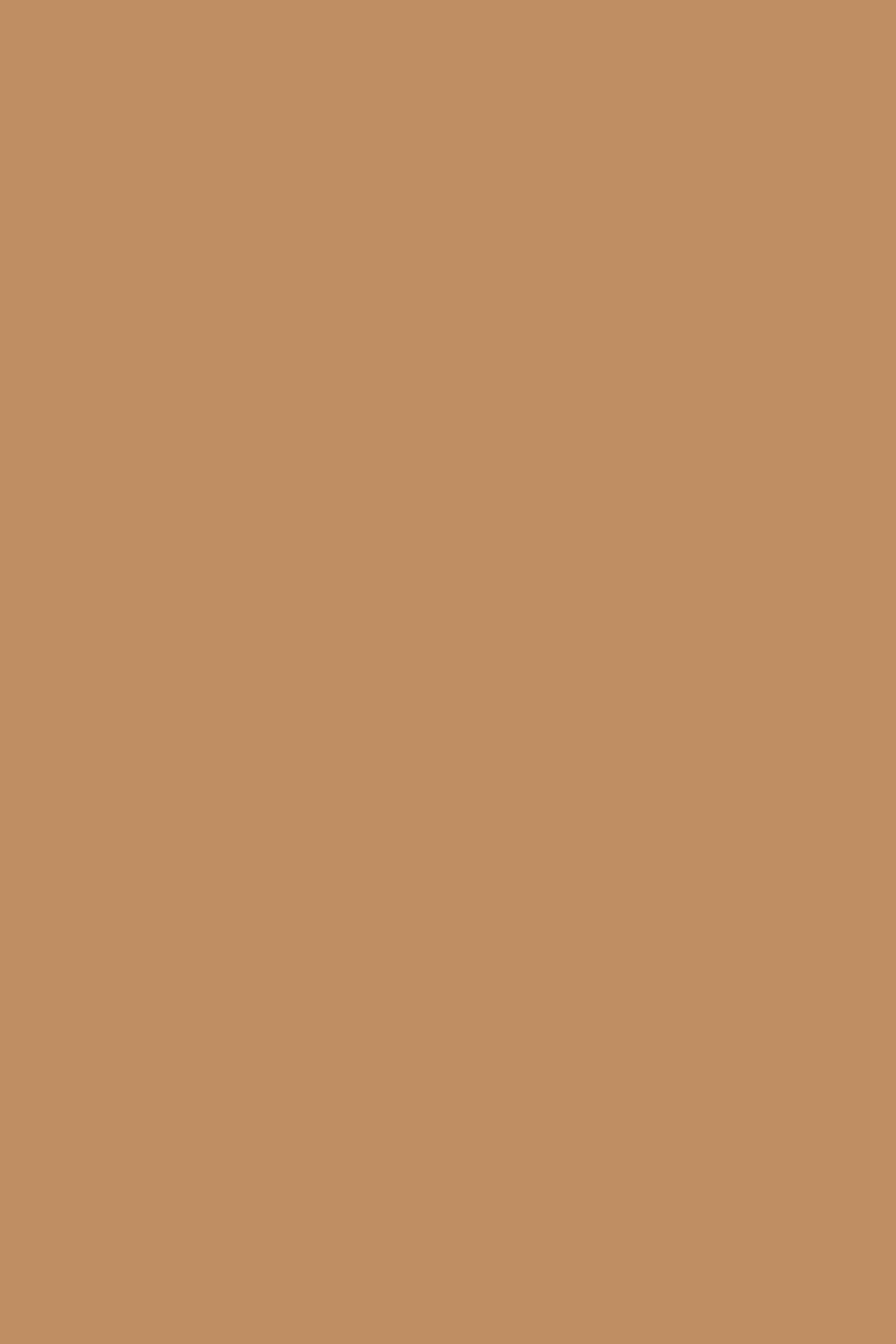 Solid Color Backdrops Toffee Butternut Brown Backdrop UK CSH4-159