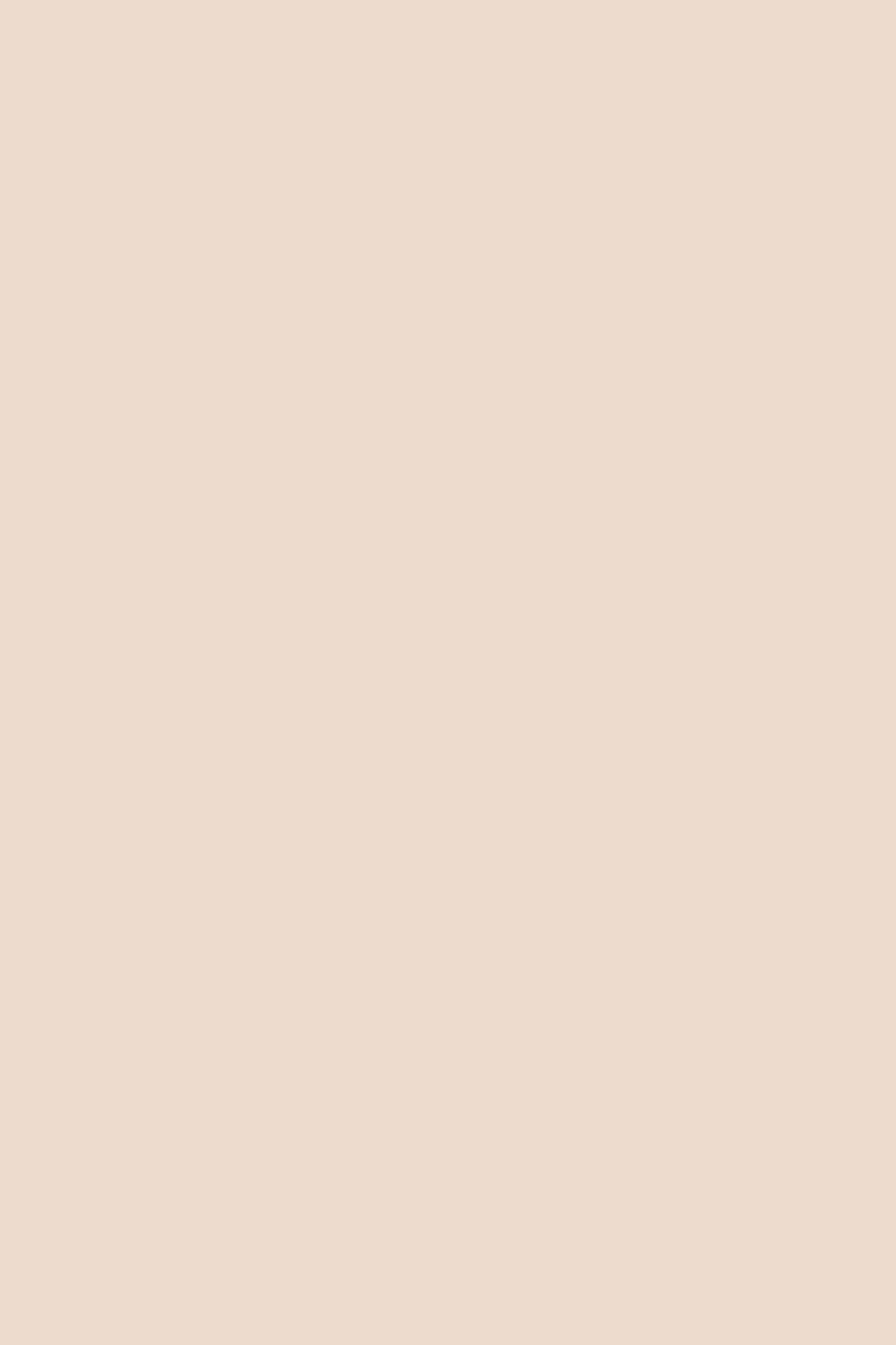 Solid Color Backdrops Light Almond Cream Backdrop UK CSH4-167