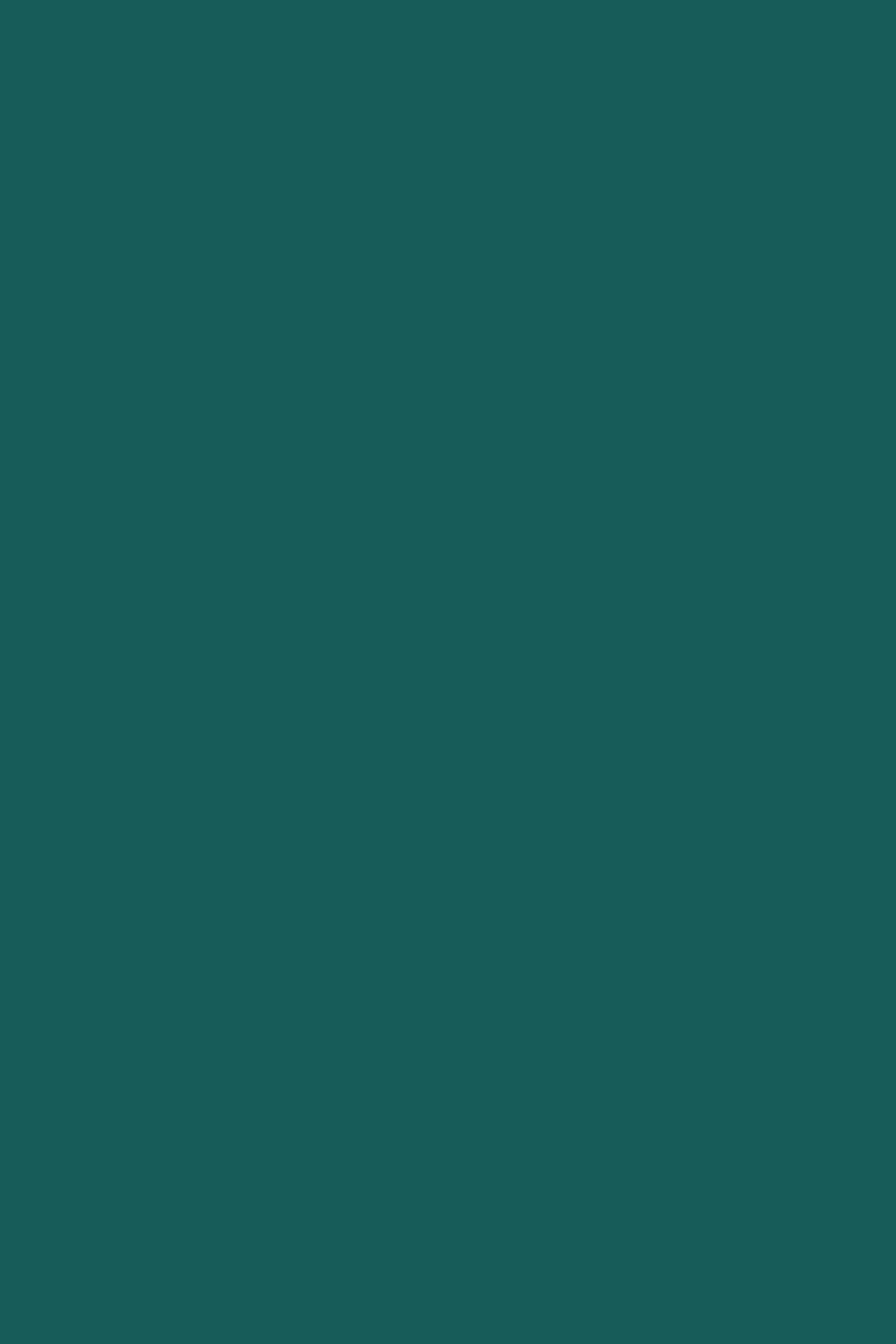 Solid Color Backdrops Sophisticated Teal Calm Backdrop UK CSH4-172