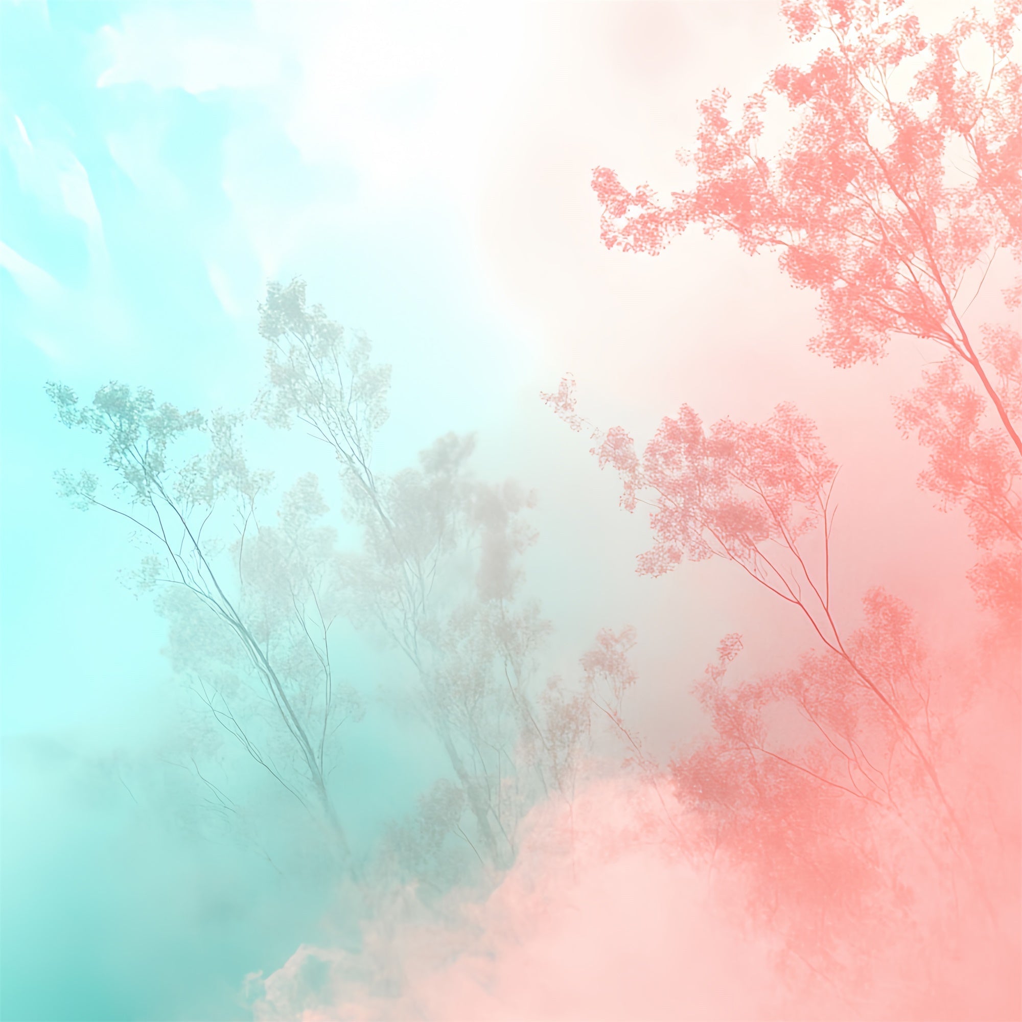 School Portrait Backdrops Gradient Woodland Mist Backdrop UK CSH4-186