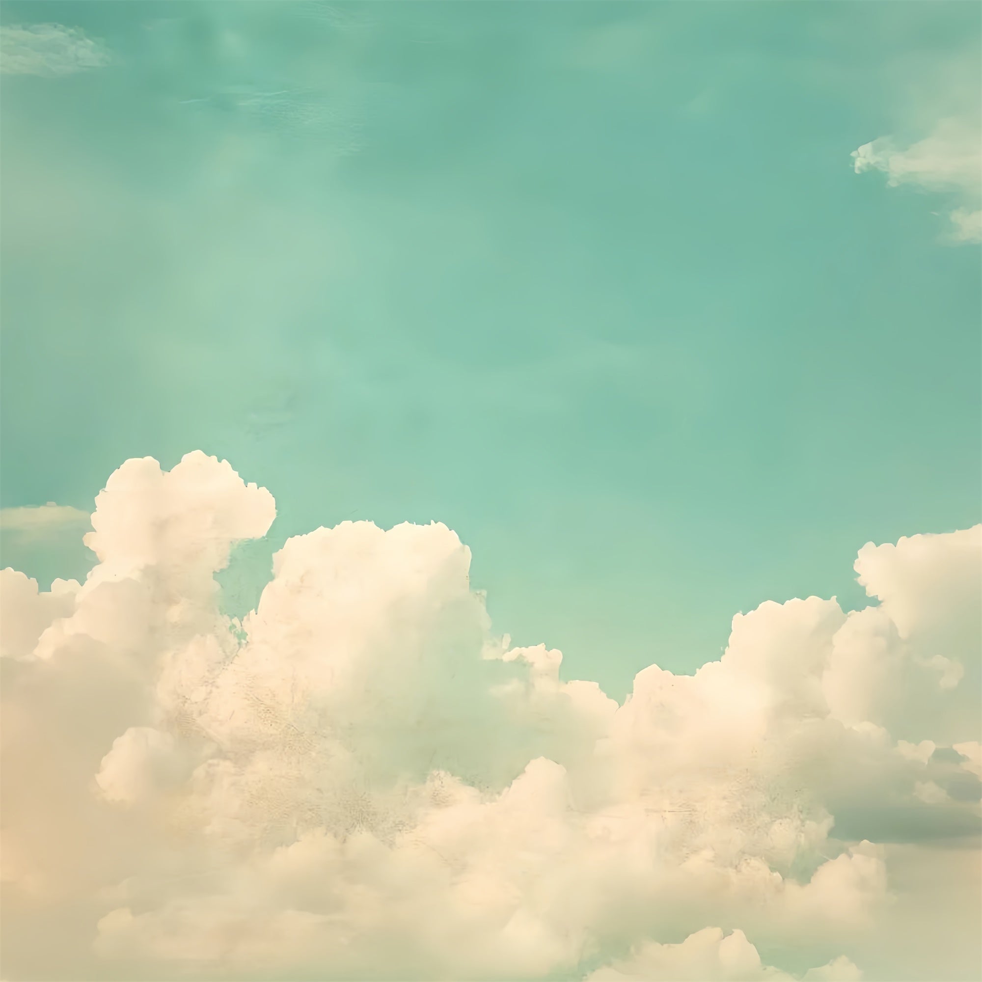 School Photo Backdrops Vintage Style Cloudscape Backdrop UK CSH4-189