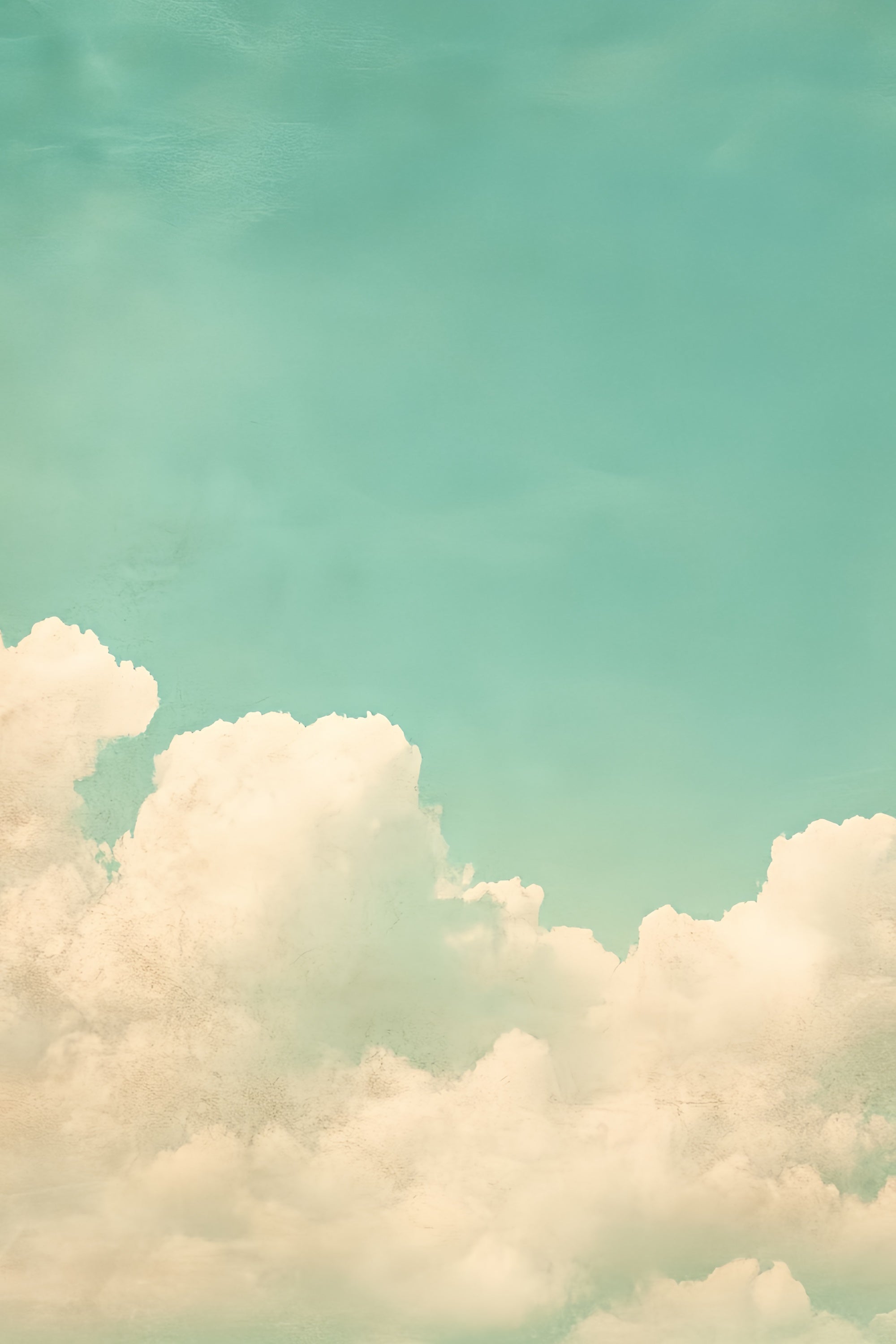 School Photo Backdrops Vintage Style Cloudscape Backdrop UK CSH4-189