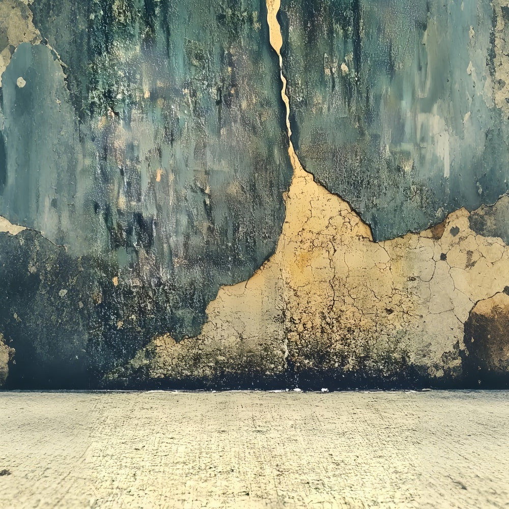 Portrait Backdrops Distressed Cracked Texture Wall Backdrop UK CSH4-190