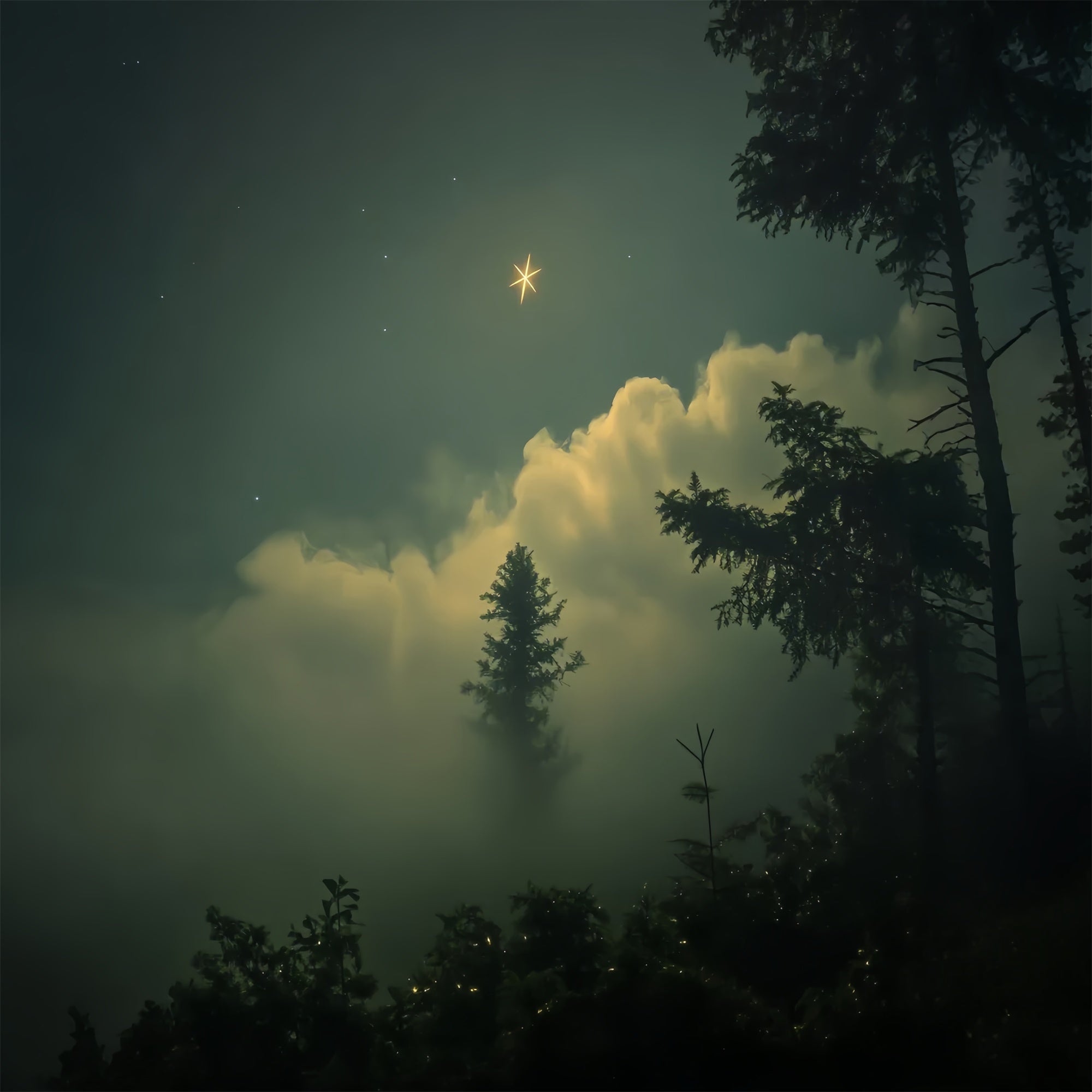 Portrait Studio Backdrops Dreamy Star Glow Forest Backdrop UK CSH4-193