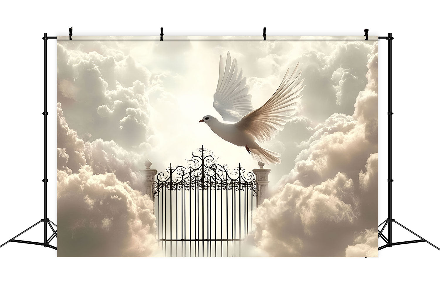 Cloud Photo Backdrop Heavenly Gates Dove Flight Backdrop UK CSH4-234