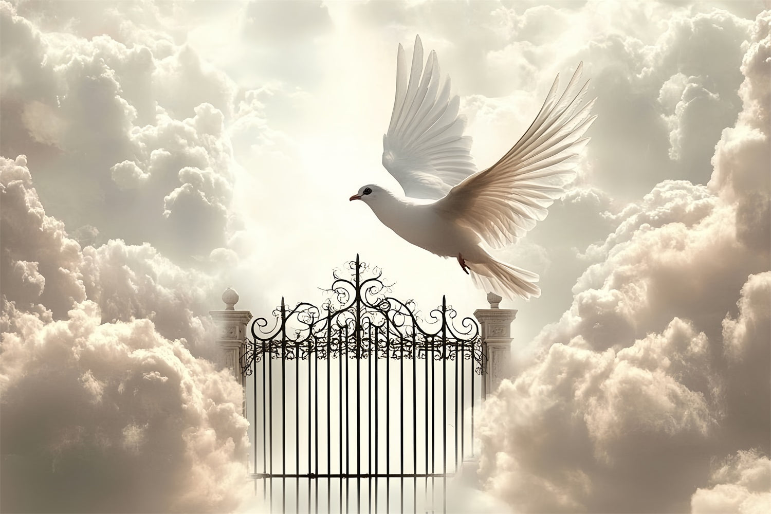 Cloud Photo Backdrop Heavenly Gates Dove Flight Backdrop UK CSH4-234