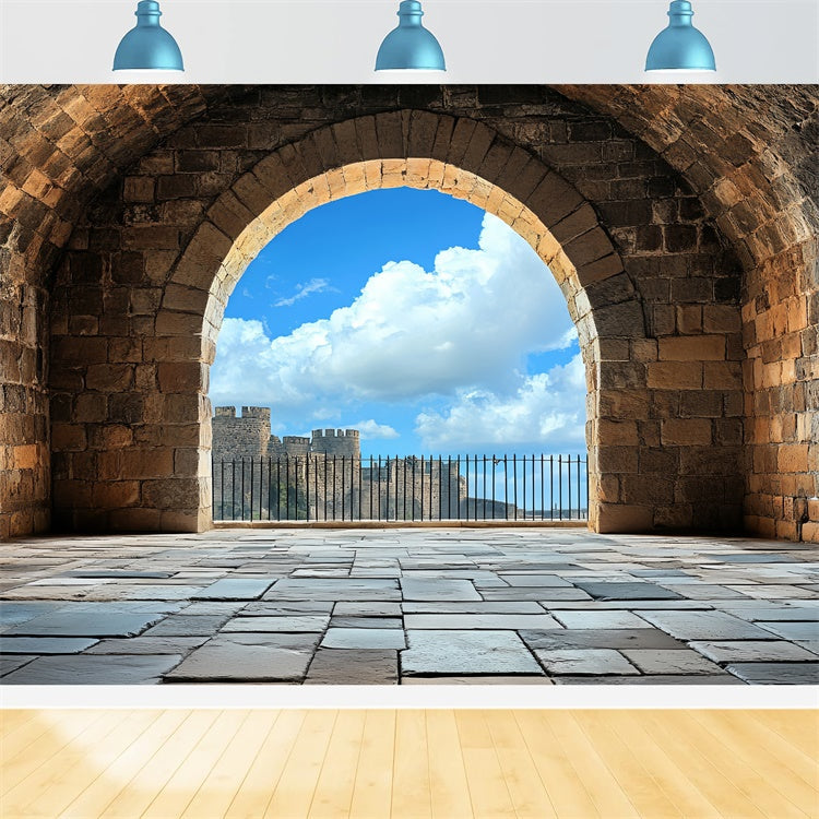 Antique Backdrop Medieval Arch Blue Sky Vintage Backdrops UK CSH4-407