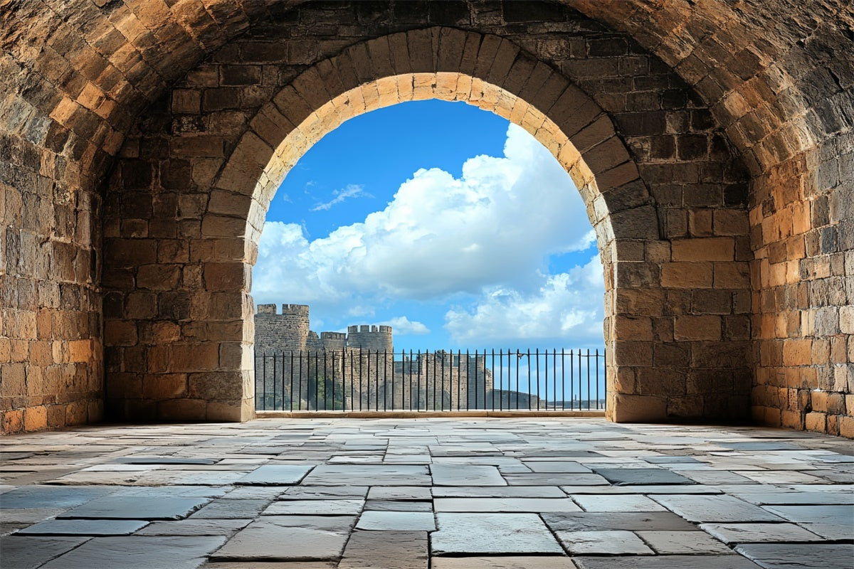 Antique Backdrop Medieval Arch Blue Sky Vintage Backdrops UK CSH4-407
