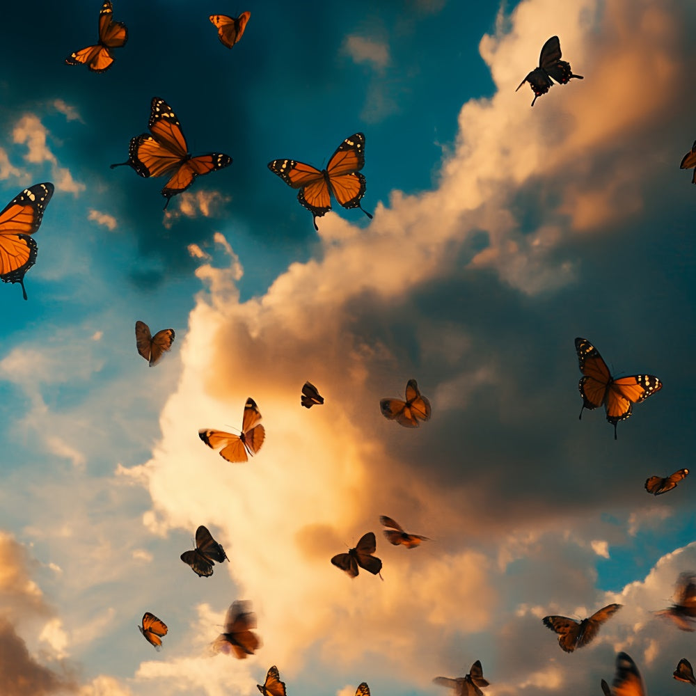 Summer Photo Backdrop Dramatic Clouds Butterfly Backdrop UK CSH5-73