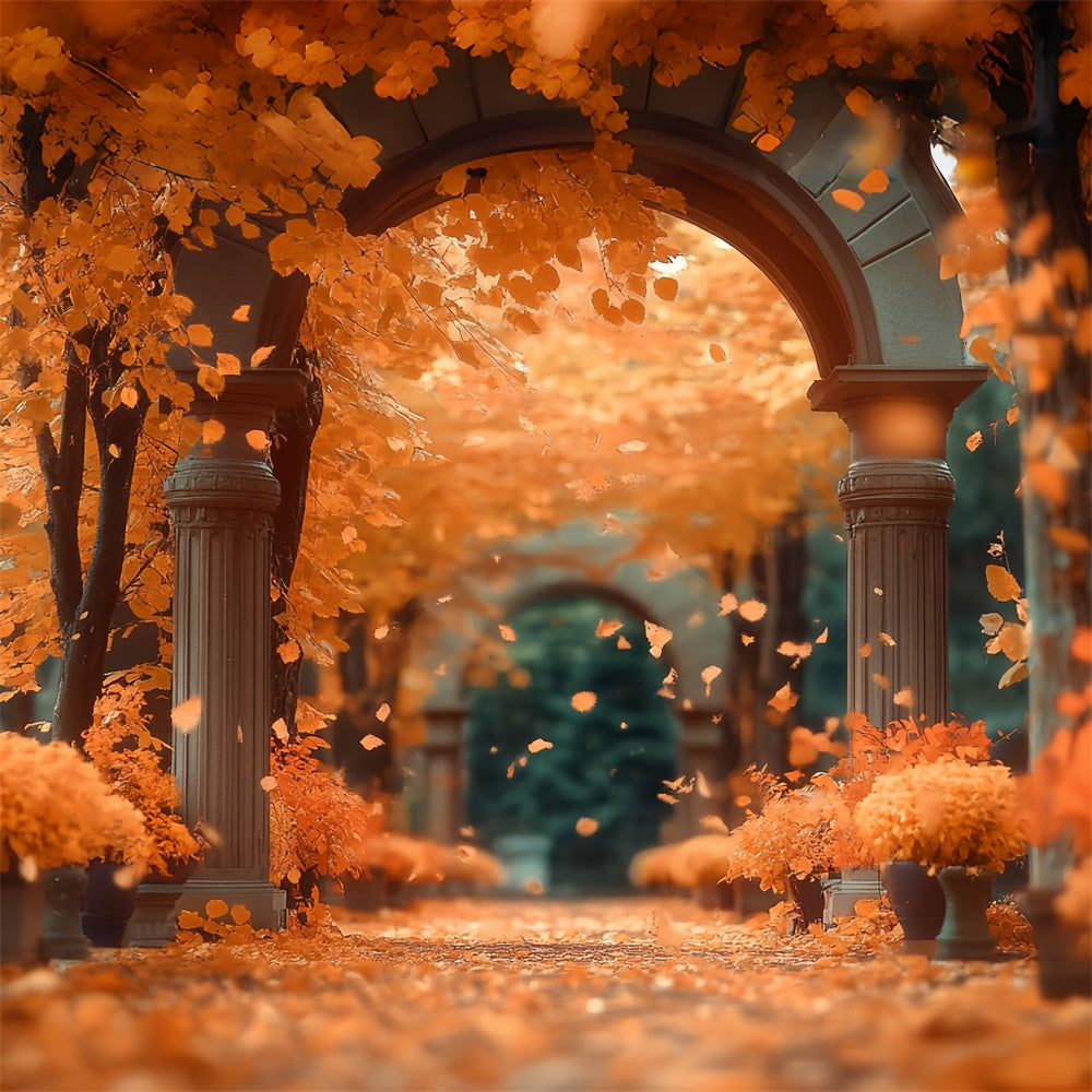 Autumn Forest Backdrop Sunset Maple Passage Backdrop UK CSH57-157
