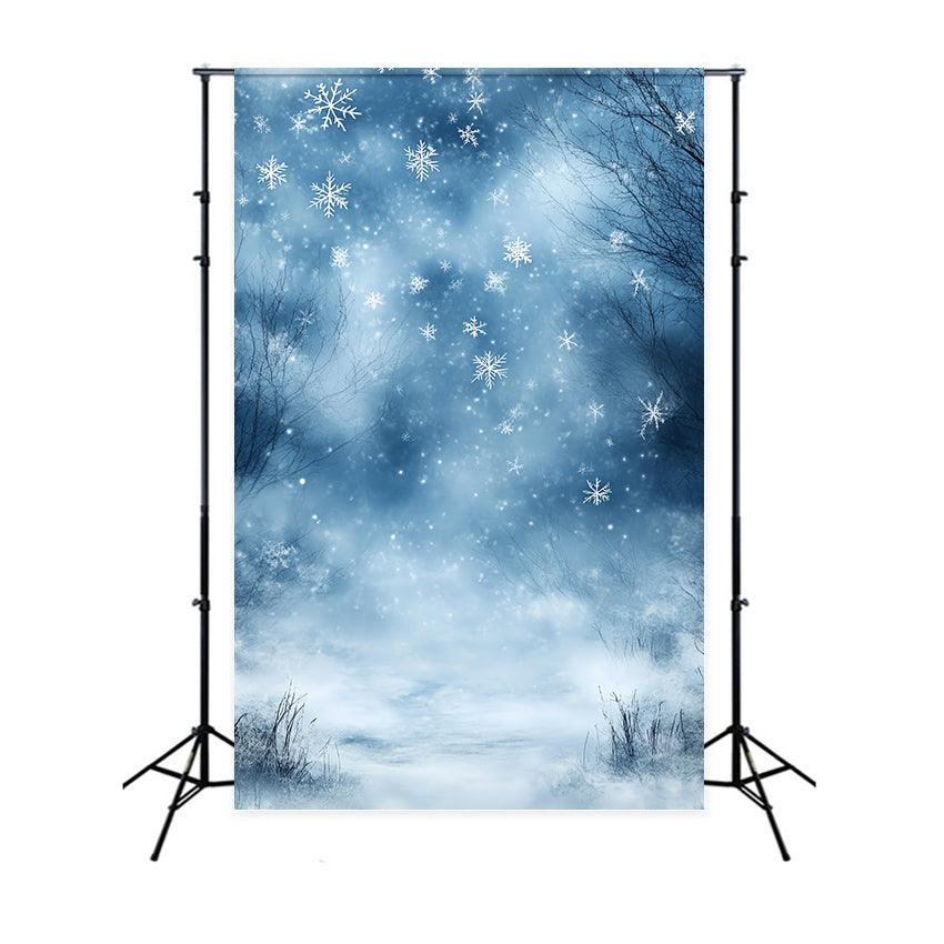 Winter Wonderland Backdrop Winter Blue Breeze Dream Backdrop UK CSH57-204