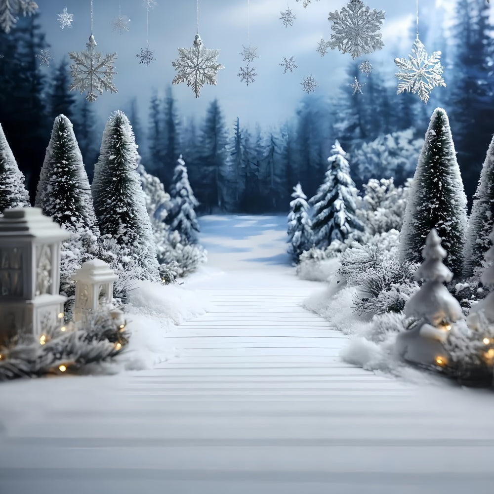 Winter Wonderland Photo Backdrop Pine Path Entry Backdrop UK CSH57-211
