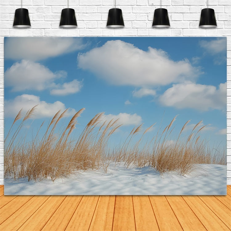 Winter Backdrops Meadow Breeze Blue Sky Backdrop UK CSH57-222