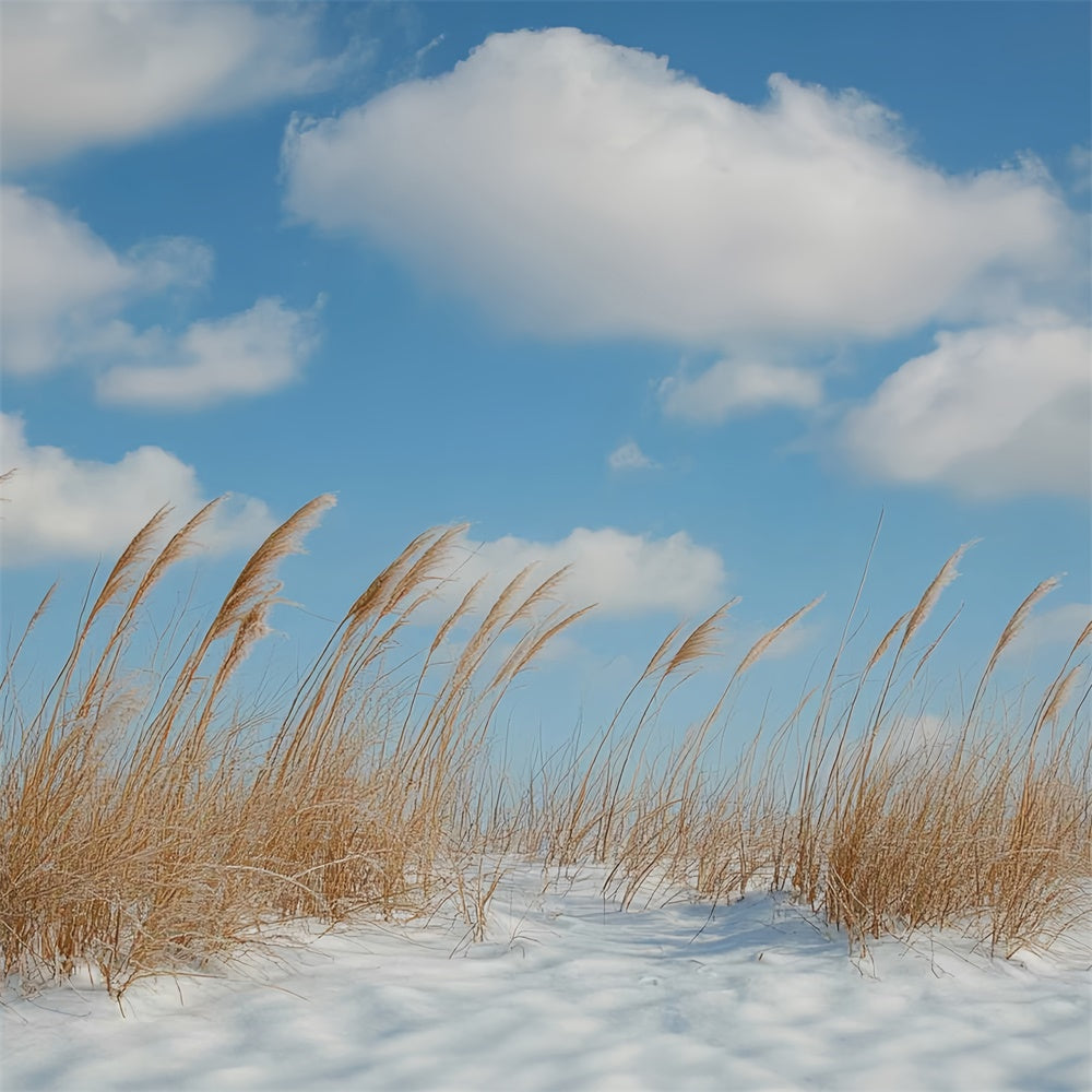 Winter Backdrops Meadow Breeze Blue Sky Backdrop UK CSH57-222