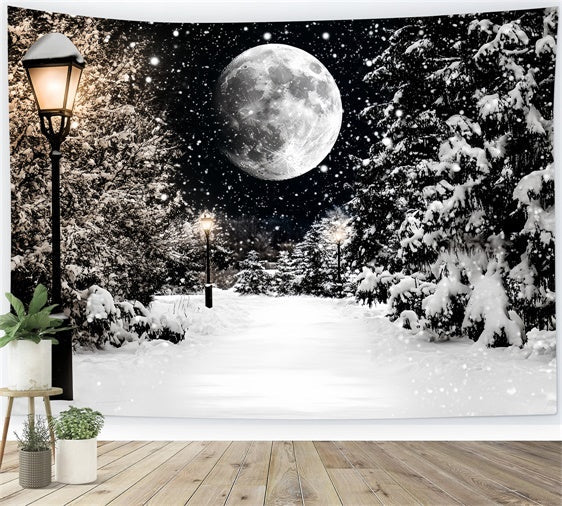 Winter Snow Backdrop Midnight Snowfall Trail Backdrop UK CSH57-223
