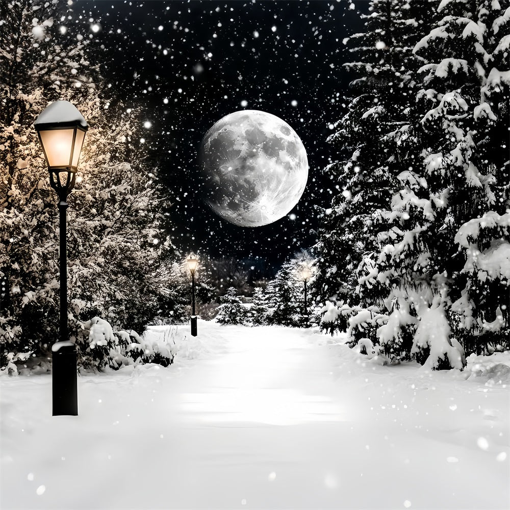 Winter Snow Backdrop Midnight Snowfall Trail Backdrop UK CSH57-223