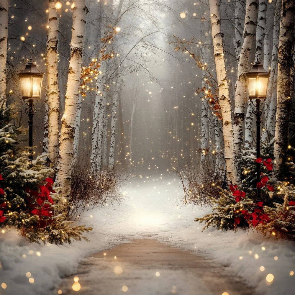 Winter Scene Backdrop Holiday Twilight Birch Backdrop UK CSH57-237