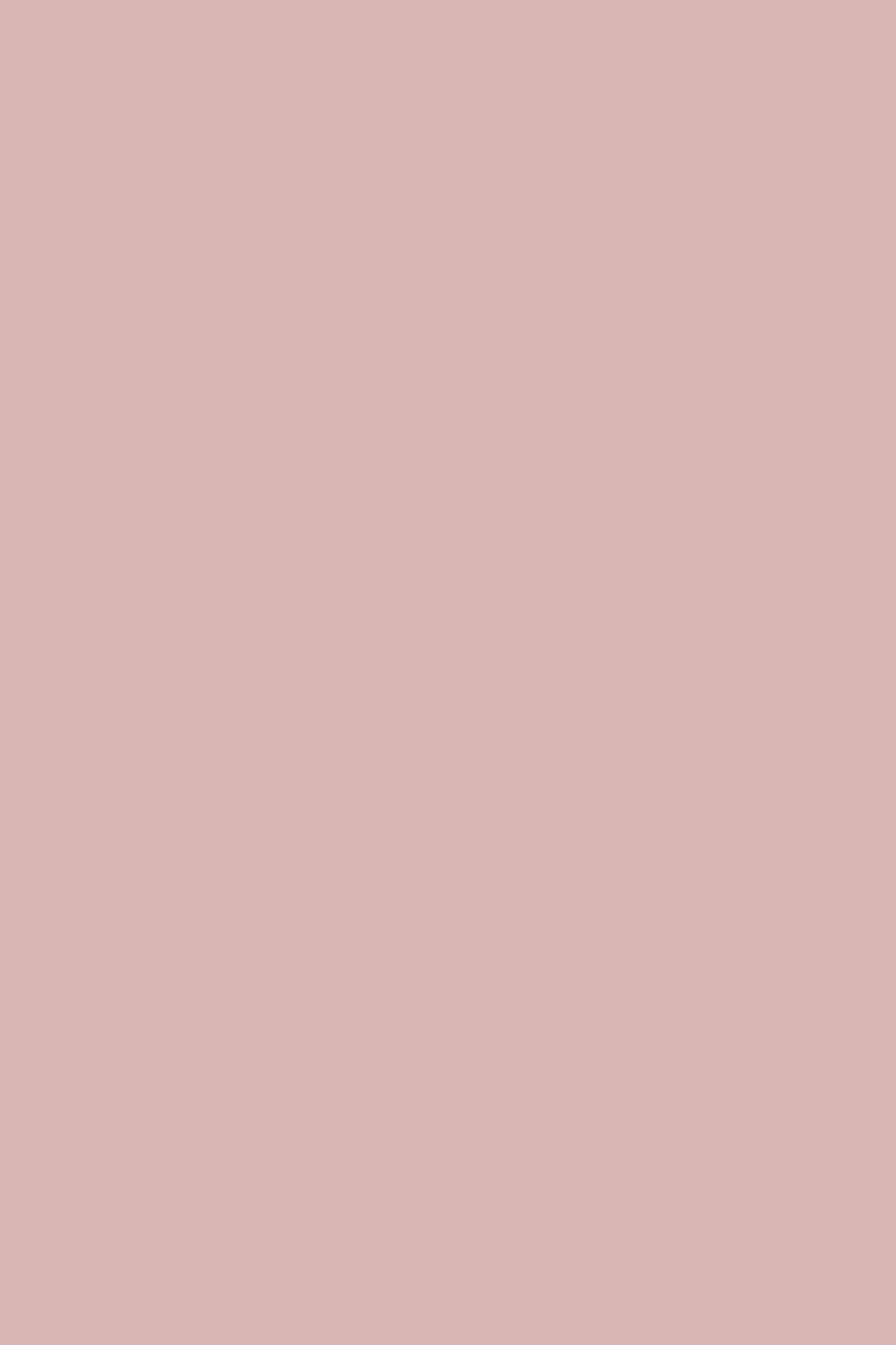 Pink Photography Backdrop Ballet Pink Whisper Backdrop UK CSH57-314