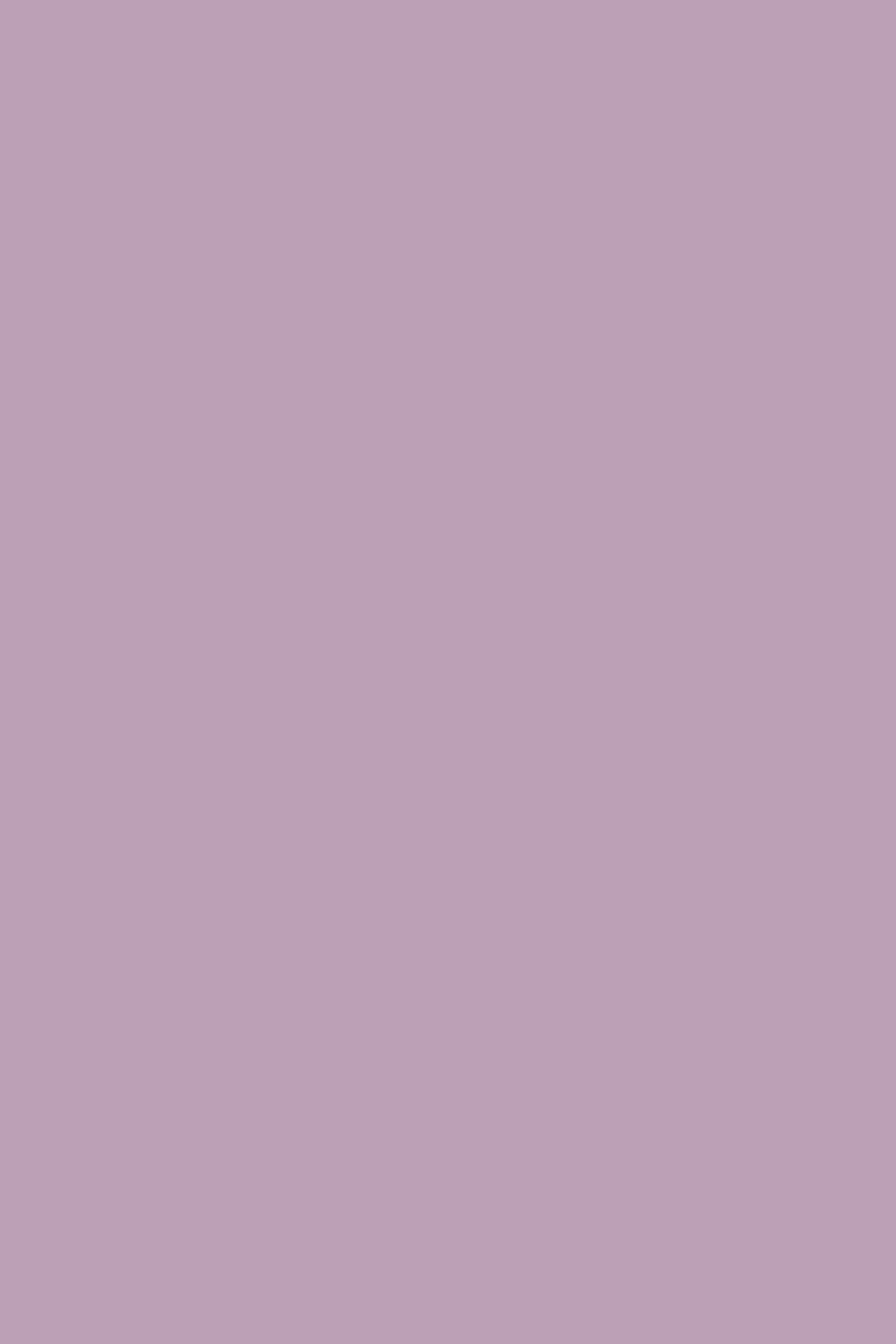 Light Purple Backdrop Dreamy Violet Gentle Backdrop UK CSH57-318