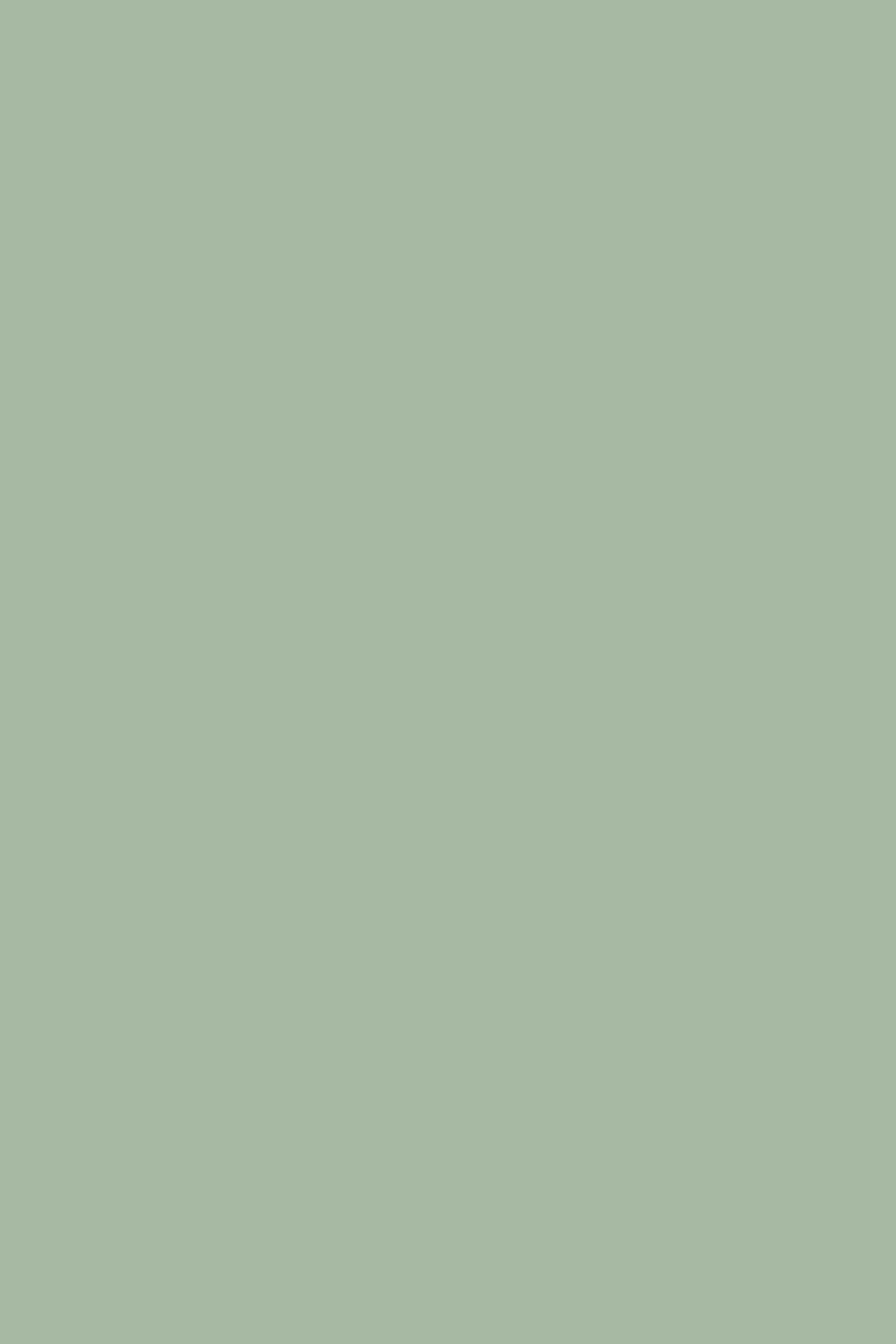 Light Green Backdrop Fresh Sage Haze Backdrop UK CSH57-325