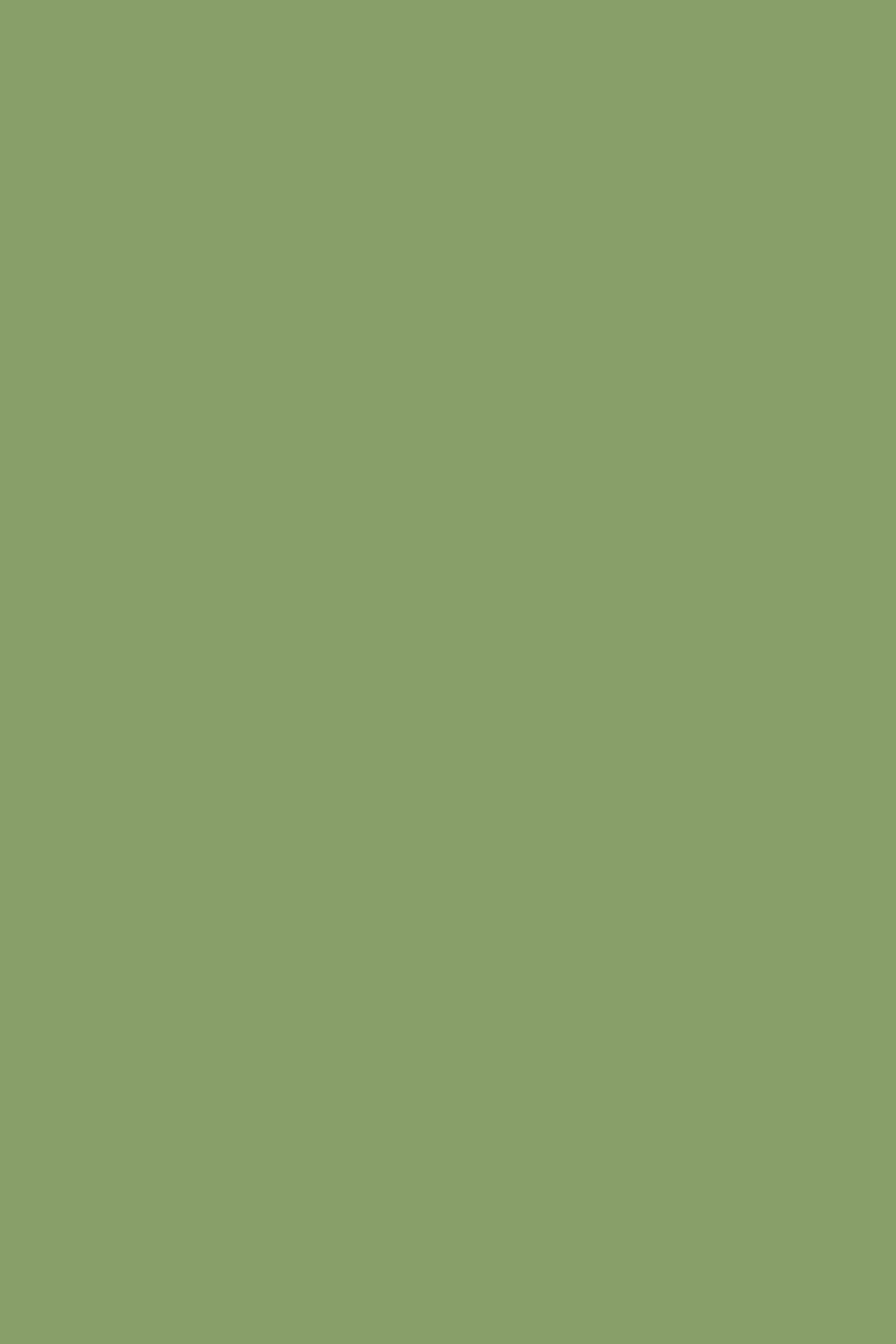Green Photography Backdrop Bright Meadow Tint Backdrop UK CSH57-327
