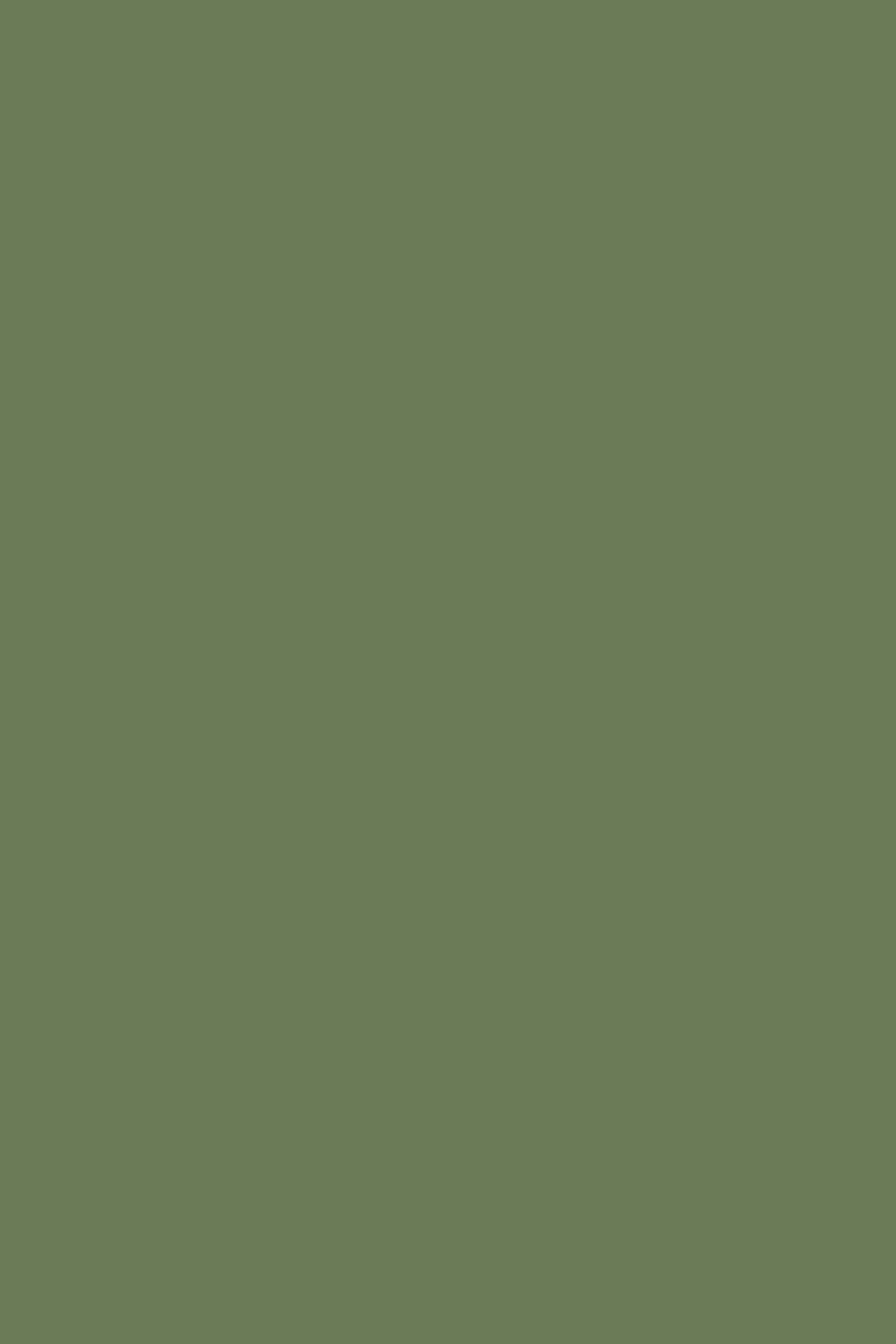 Green Photo Backdrop Dark Emerald Haze Backdrop UK CSH57-328