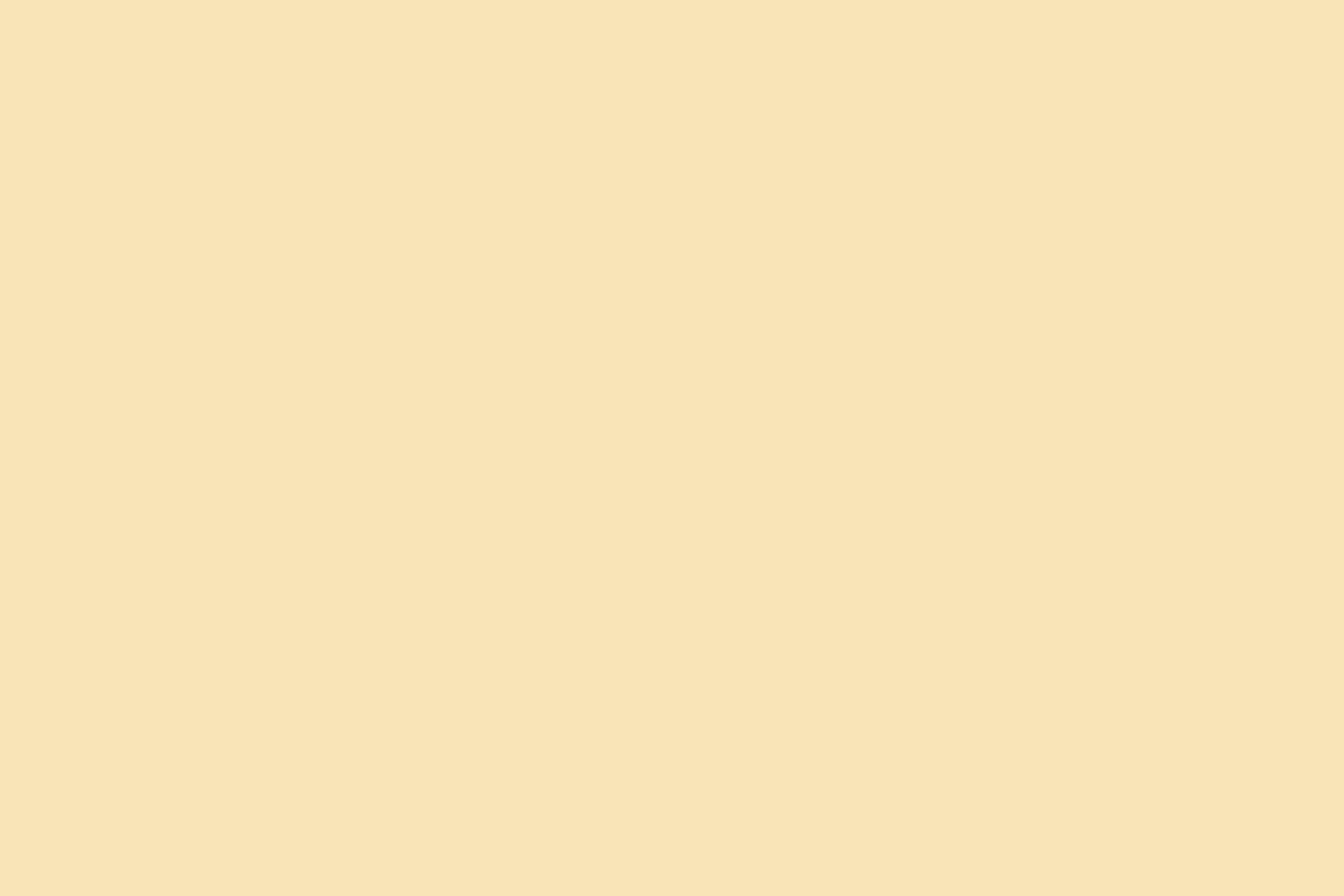 Solid Color Backdrop Warm Ivory Cream Backdrop UK CSH57-329