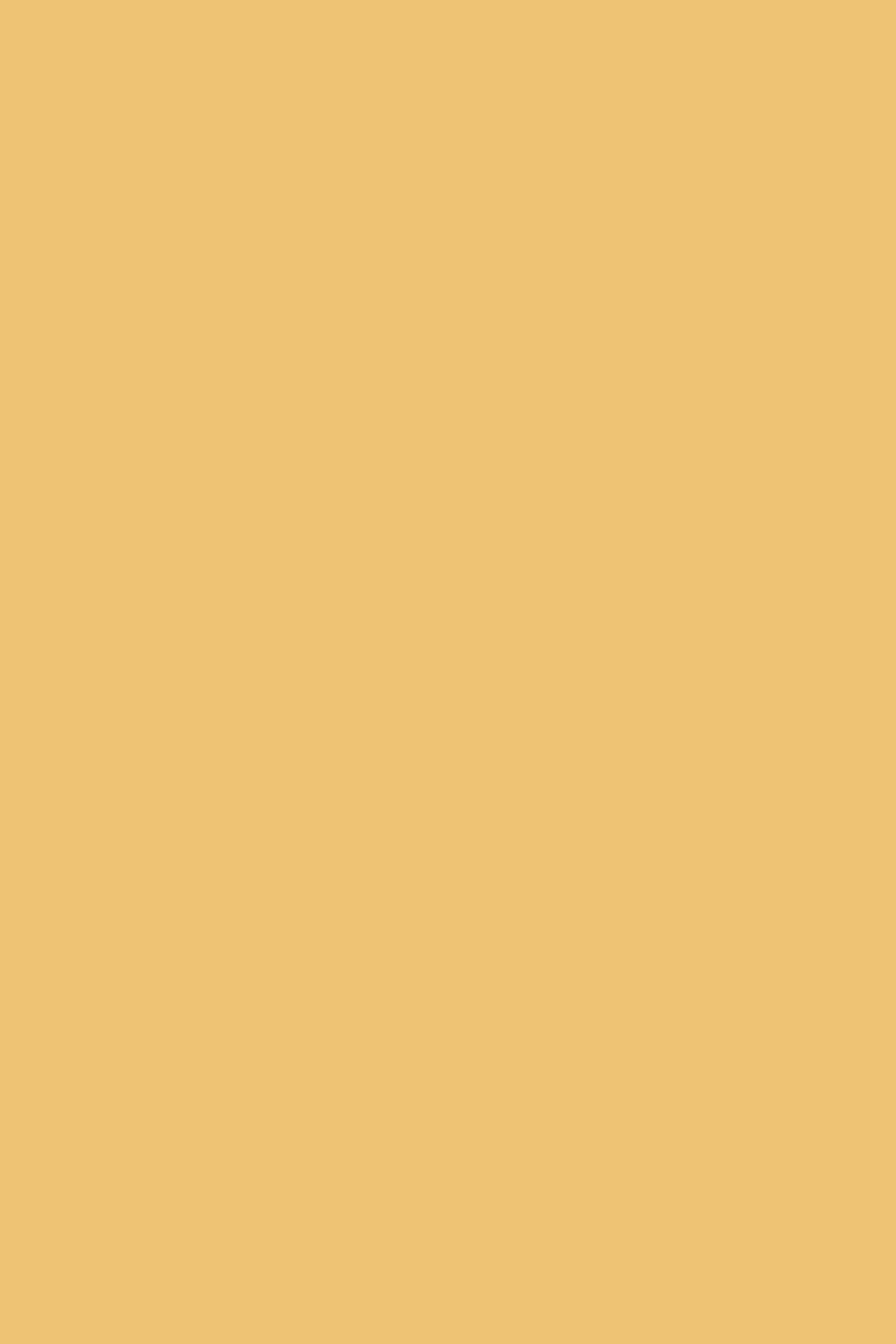 Backdrop Solid Color Sunlit Honey Veil Backdrop UK CSH57-330