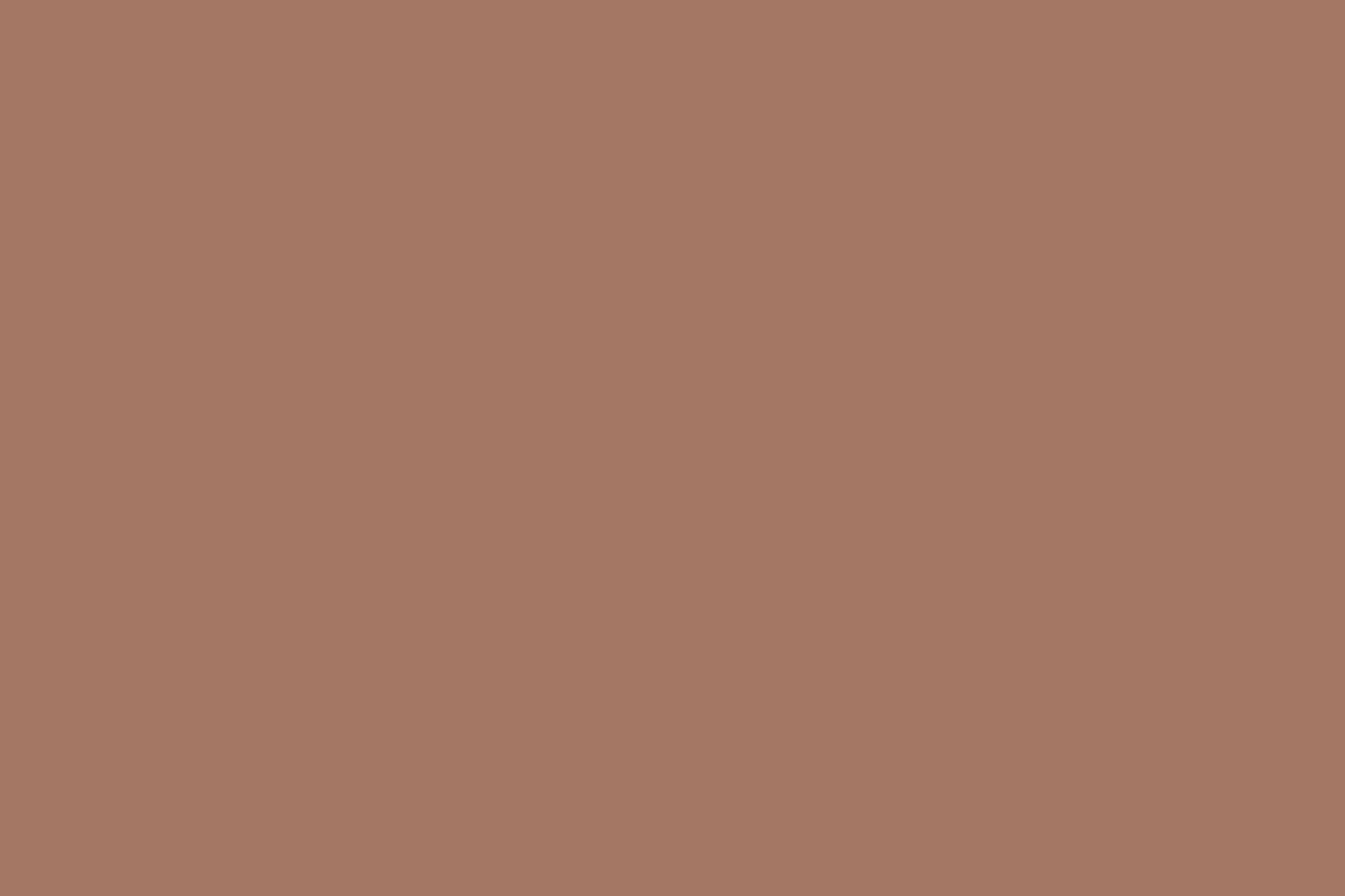 Backdrop Solid Color Rustic Coral Mist Backdrop UK CSH57-334
