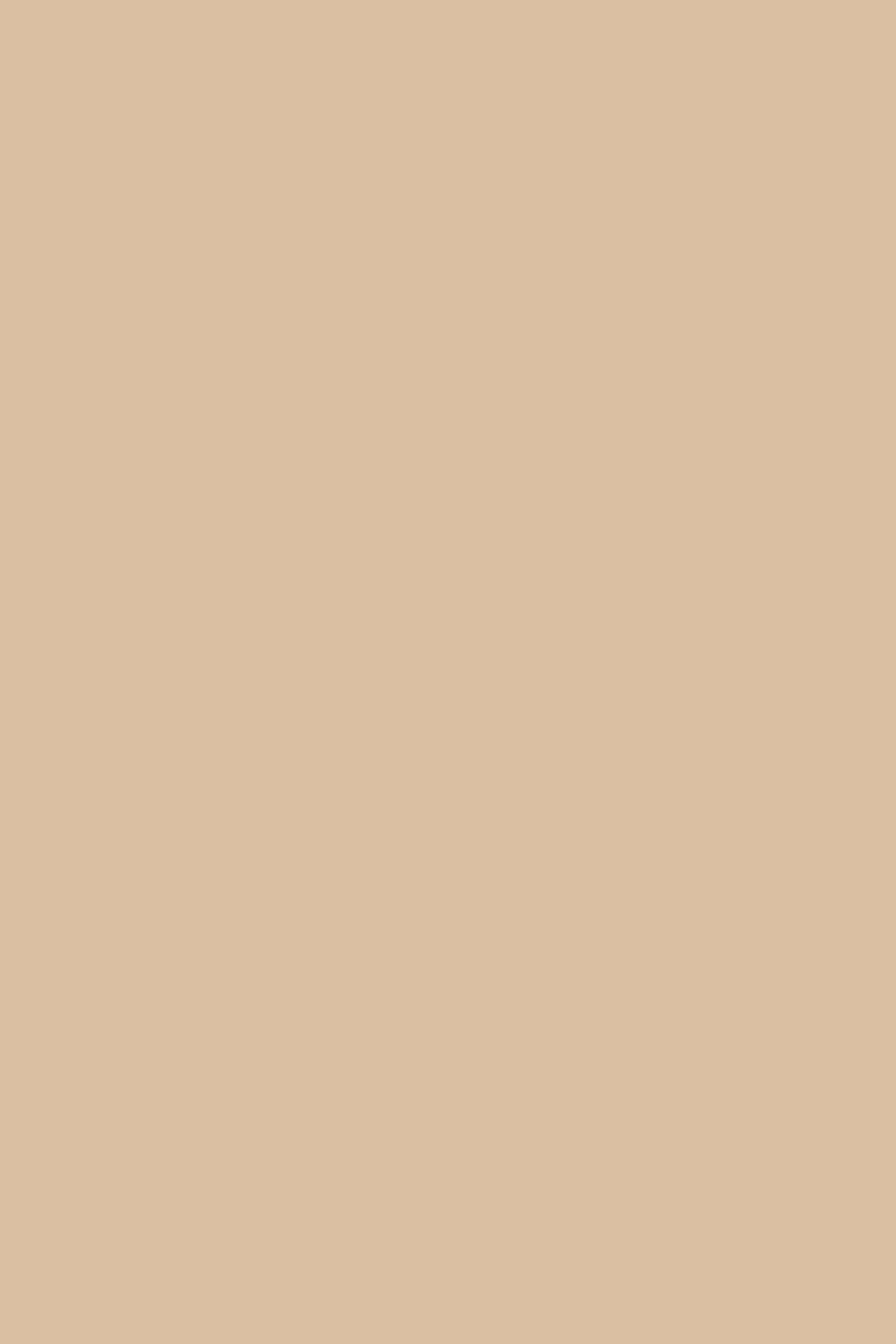 Solid Color Backdrops Ivory Oat Haze Backdrop UK CSH57-337