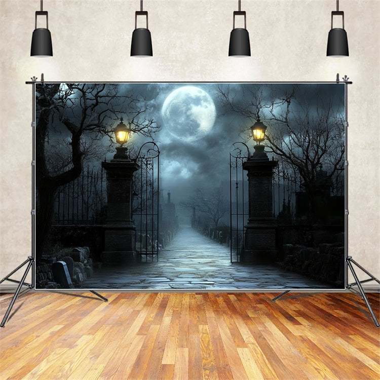 Halloween Photo Backdrop Moonlit Cemetery Gate Backdrop UK CSH57-63