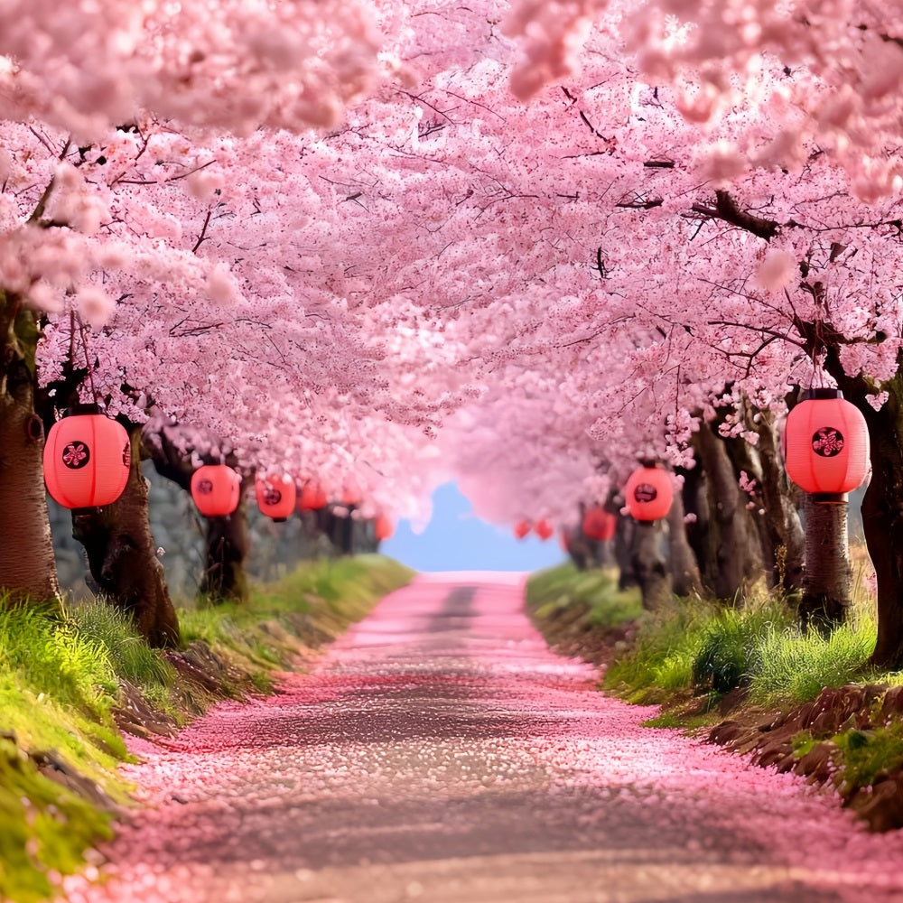 Cherry Blossom Backdrop Sakura Pathway Lantern Rows Spring Flower Backdrop UK CSH58-106