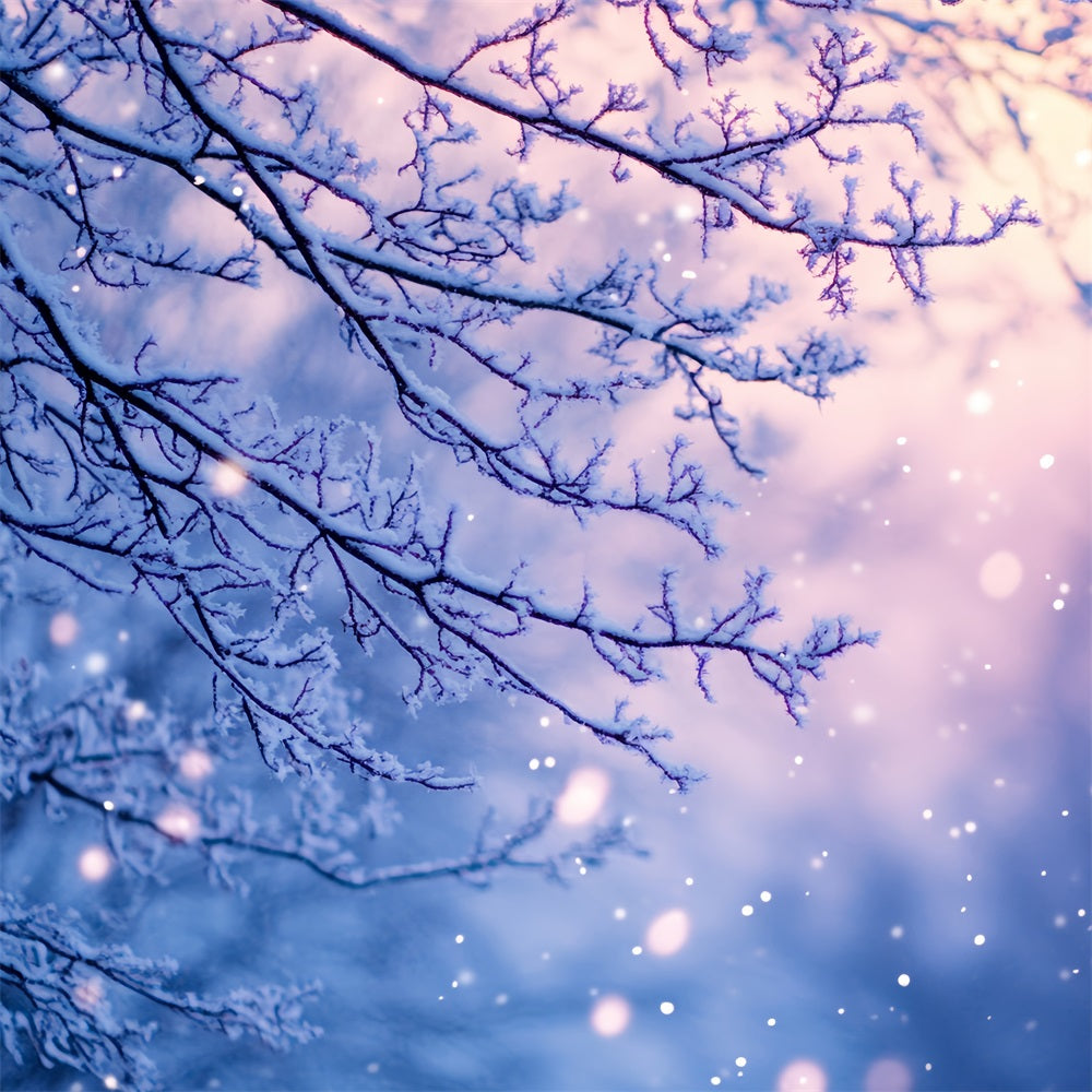 Snowflake Backdrop Frosted Branches in Twilight Glow Winter Photo Backdrop UK CSH58-21