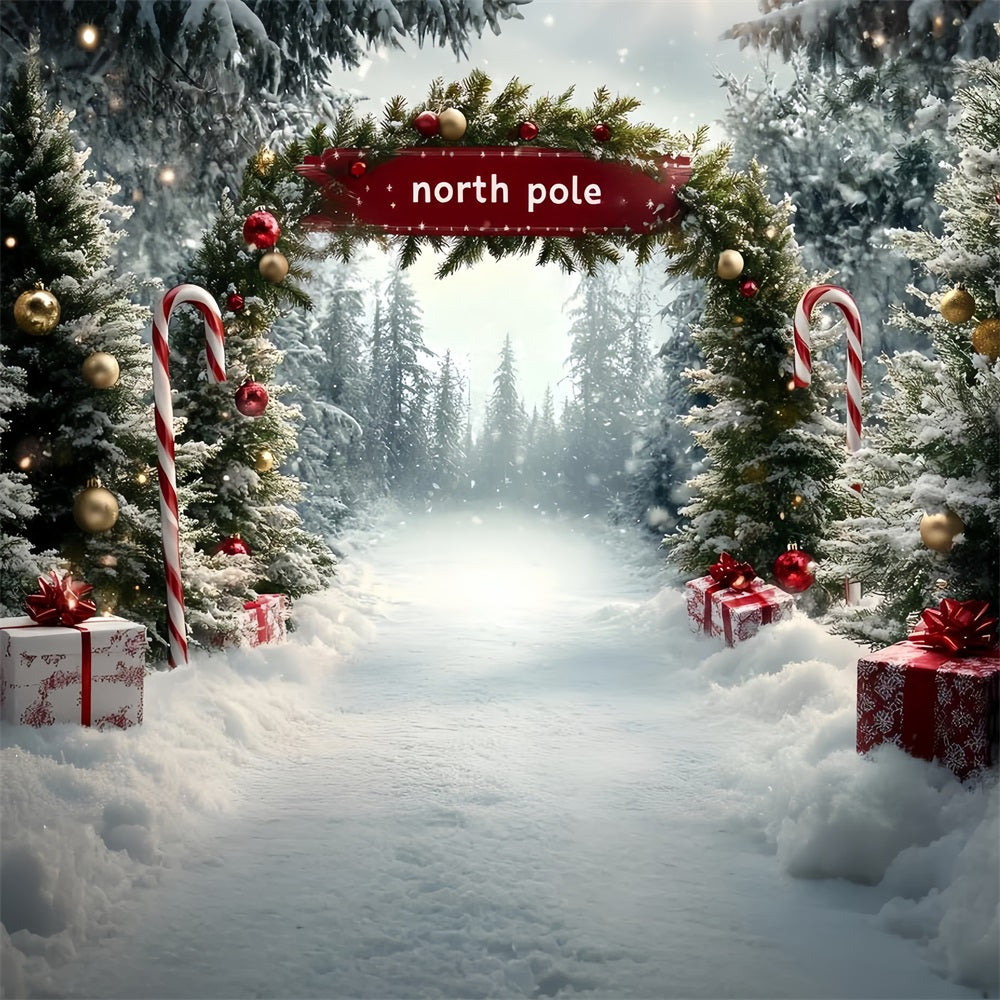 North Pole Backdrop North Pole Candy Cane Gift Pathway Winter Christmas Backdrop UK CSH58-36