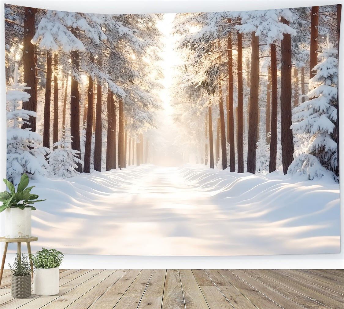 Nature Backdrop Snow-covered Straight Forest Backlighting Warm Sunlight Winter Forest Backdrop UK CSH58-41