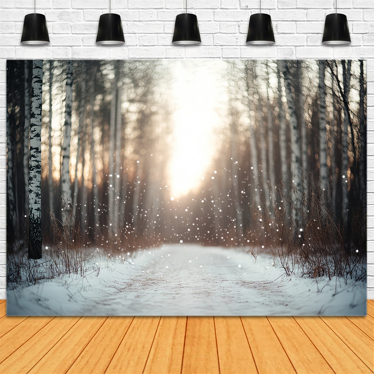 Nature Backdrop Falling Snow Birch Forest Blurred Backlight Winter Backdrops for Photography UK CSH58-44