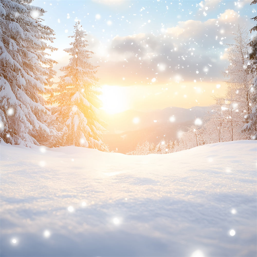 Nature Backdrop Dreamy Winter Warmth Snow Drift Forest Backdrop Winter wonderland UK CSH58-45