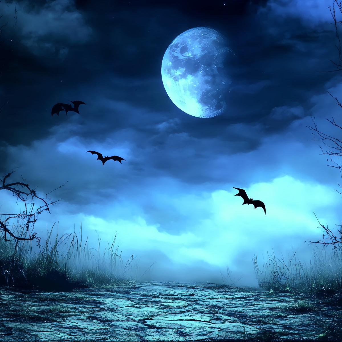 Night Sky Backdrop Blue Mist Spooky Path Halloween Photo Backdrop UK CSH58-83